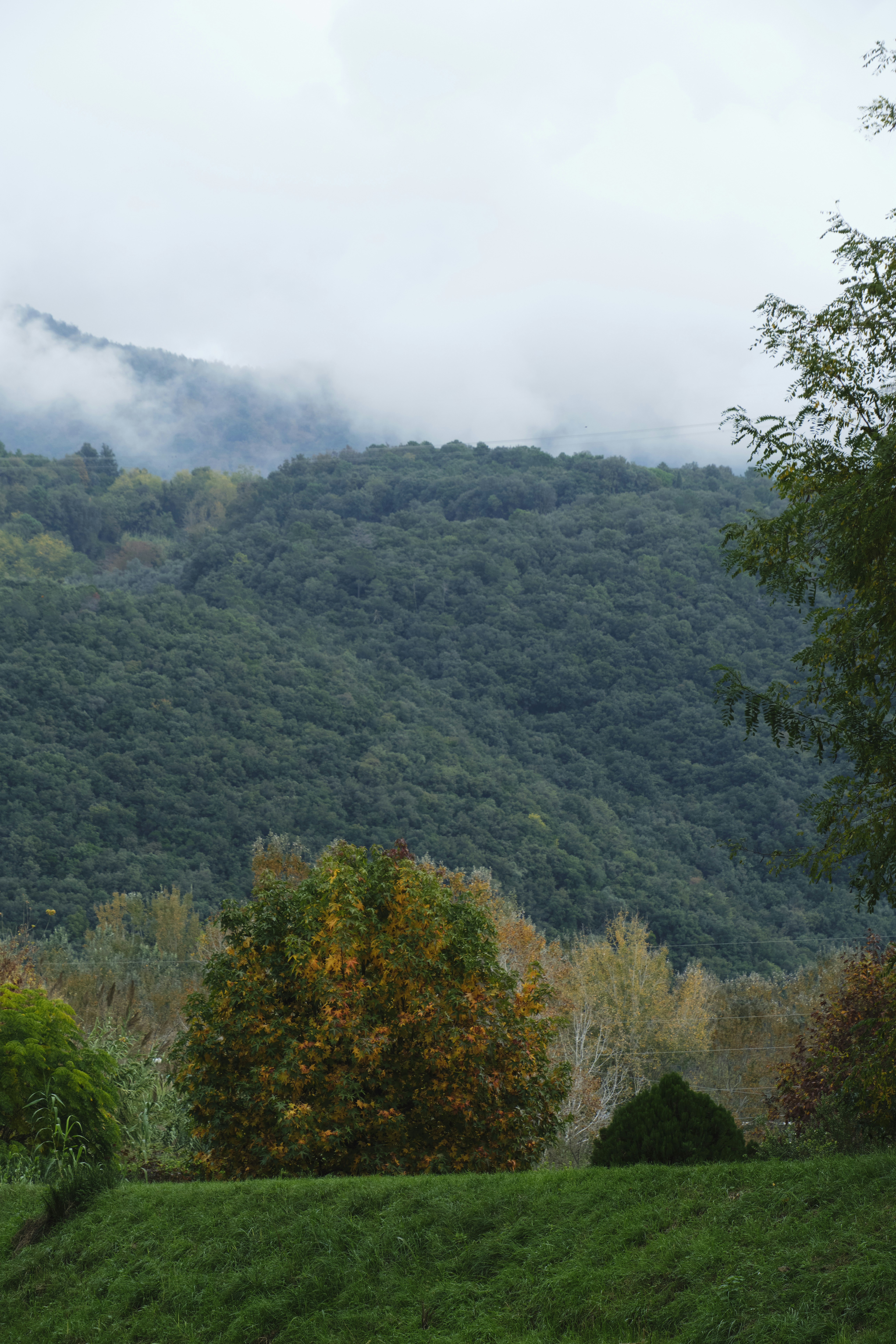 Photo by worldchris75