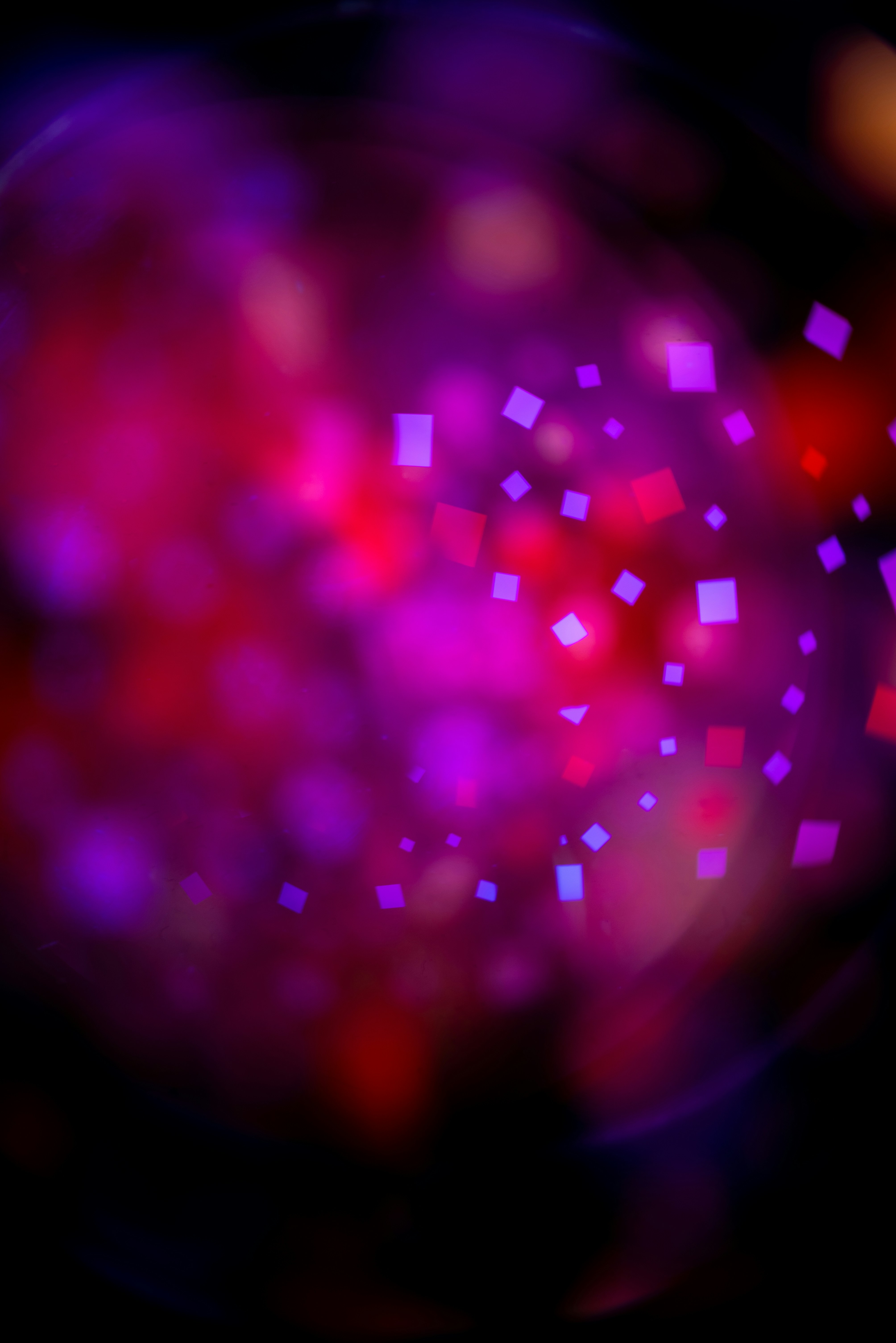 Photo by andrilliardbond