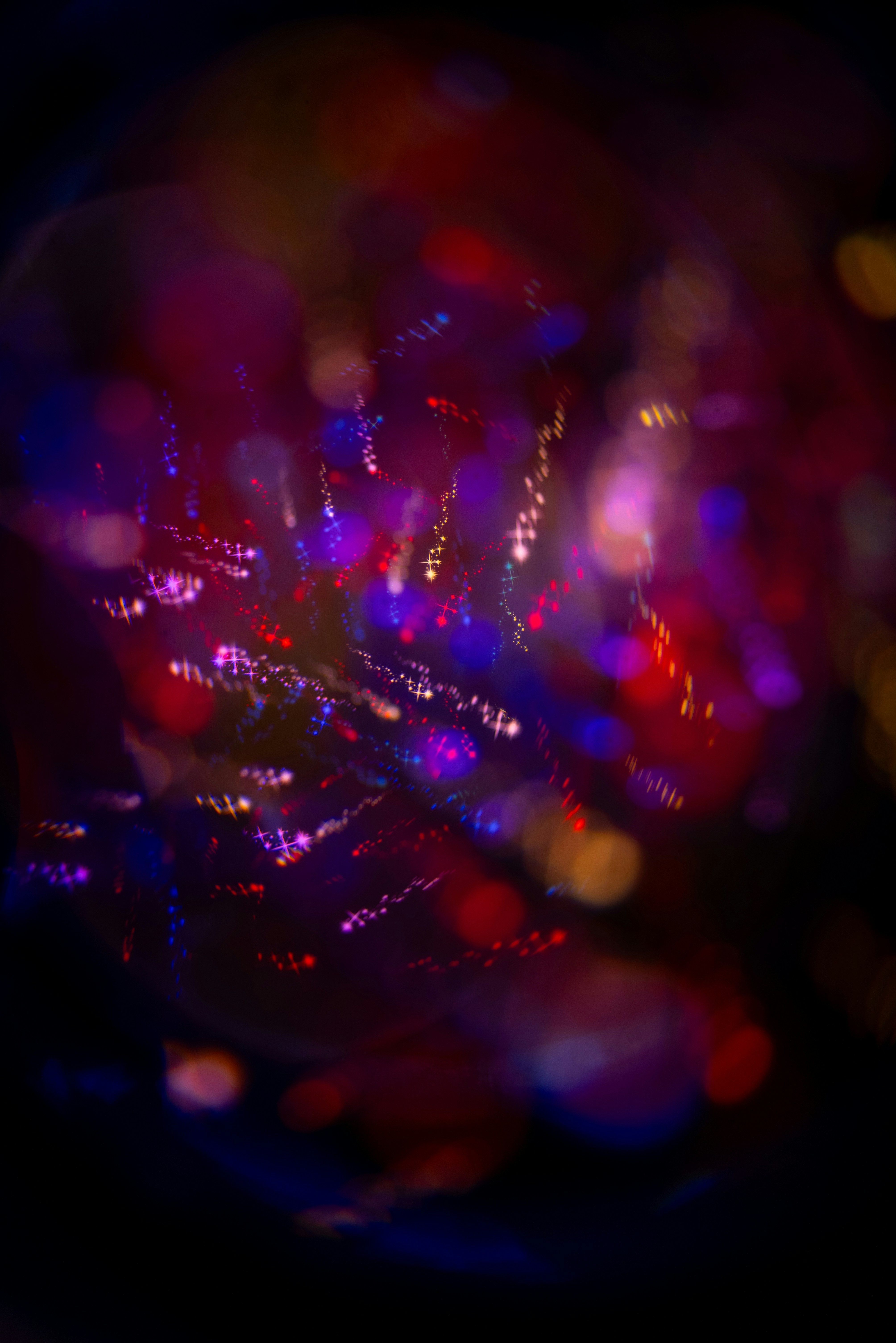 Photo by andrilliardbond