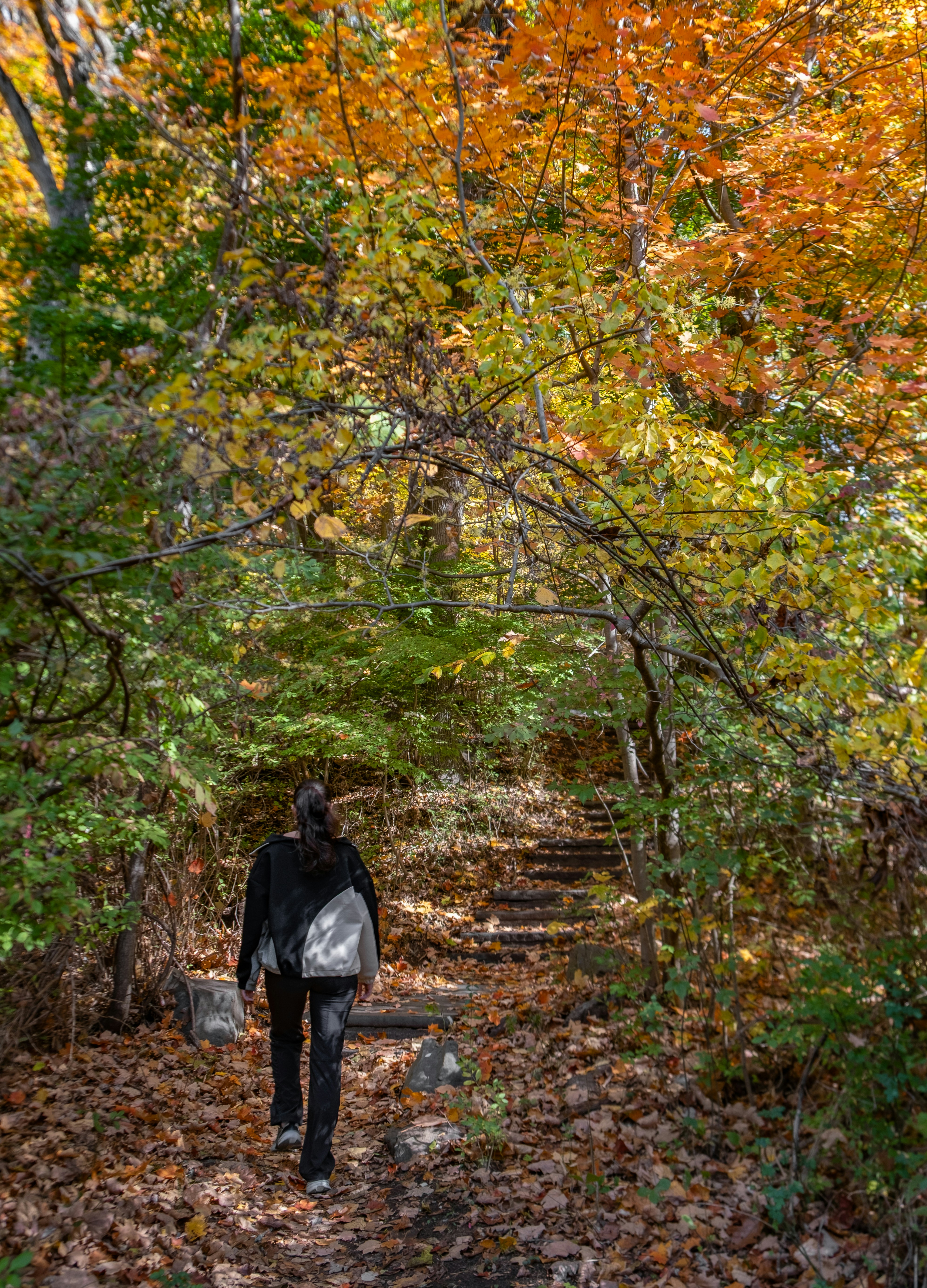 Photo by adamlittmandavis