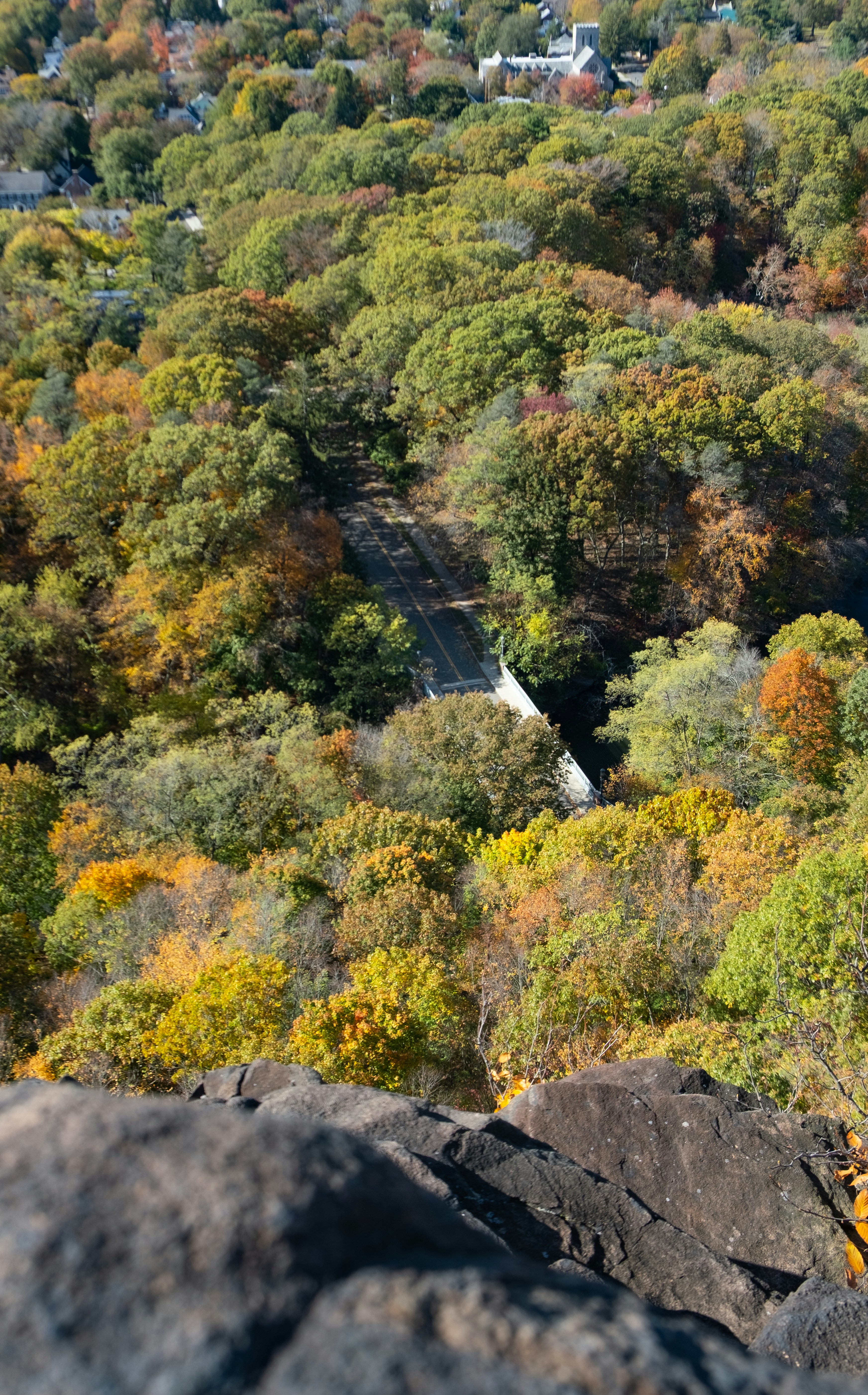 Photo by adamlittmandavis