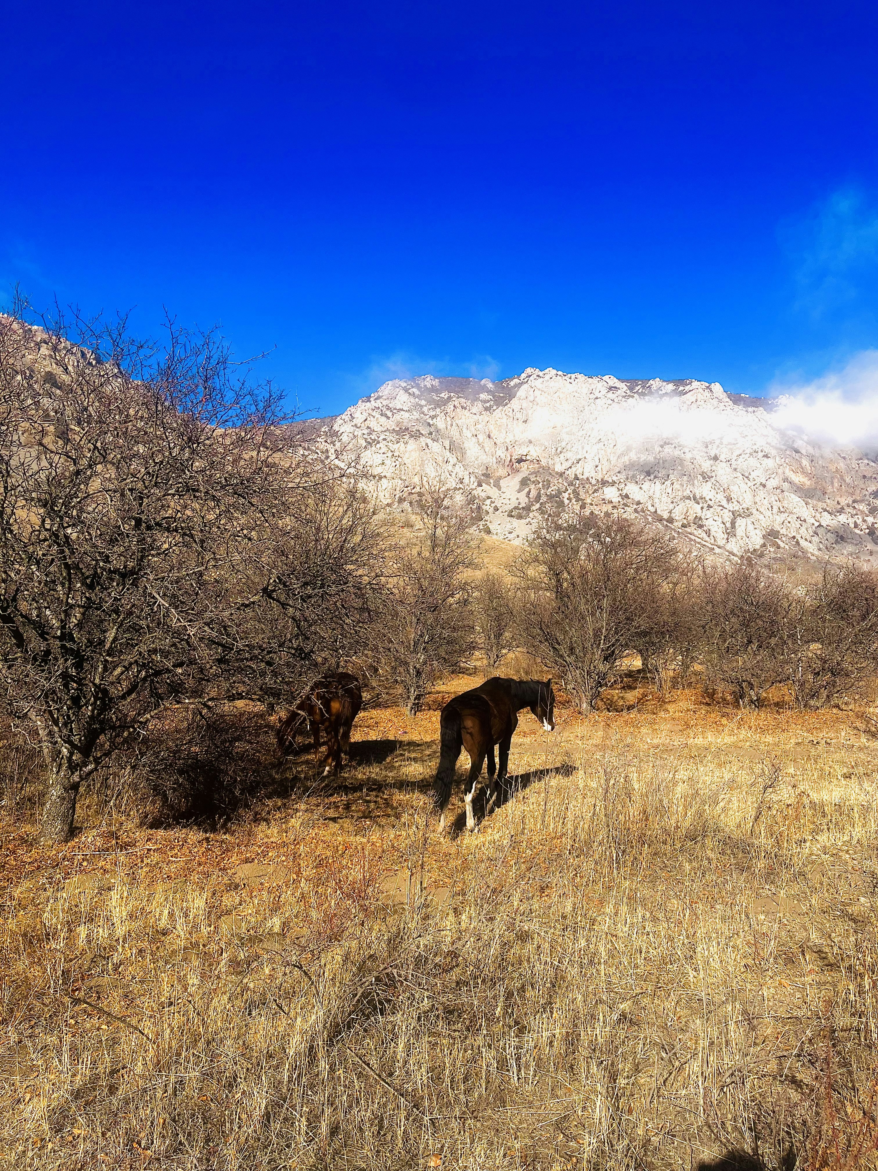 Photo by drsarwarali