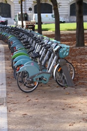 Row of rental bicycles parked along a path