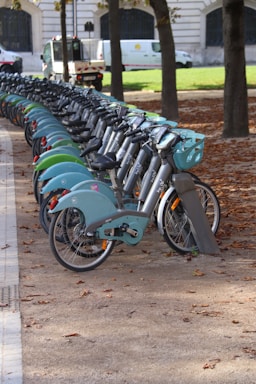 Row of rental bicycles parked along a path