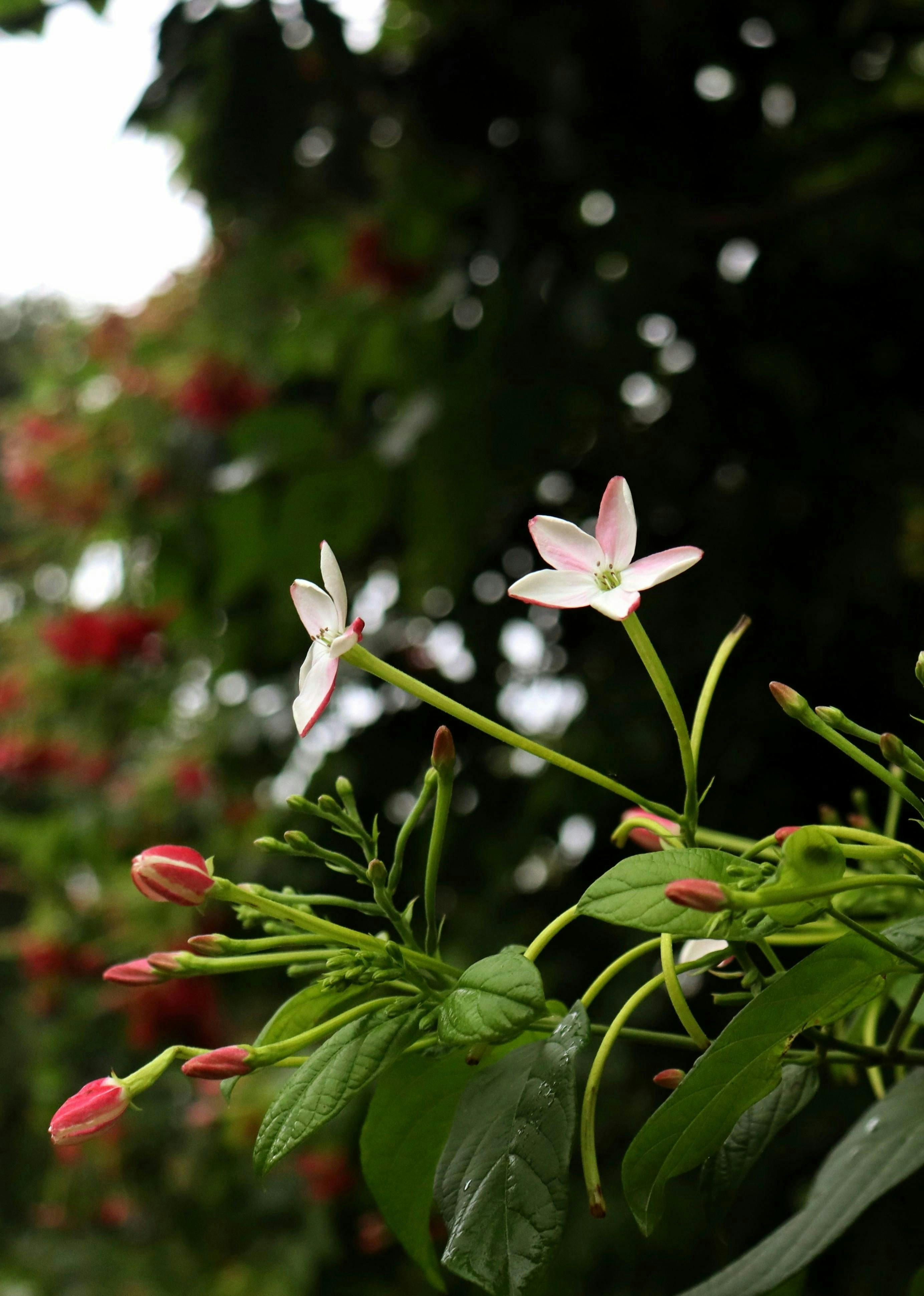 Photo by fortressofsolitude