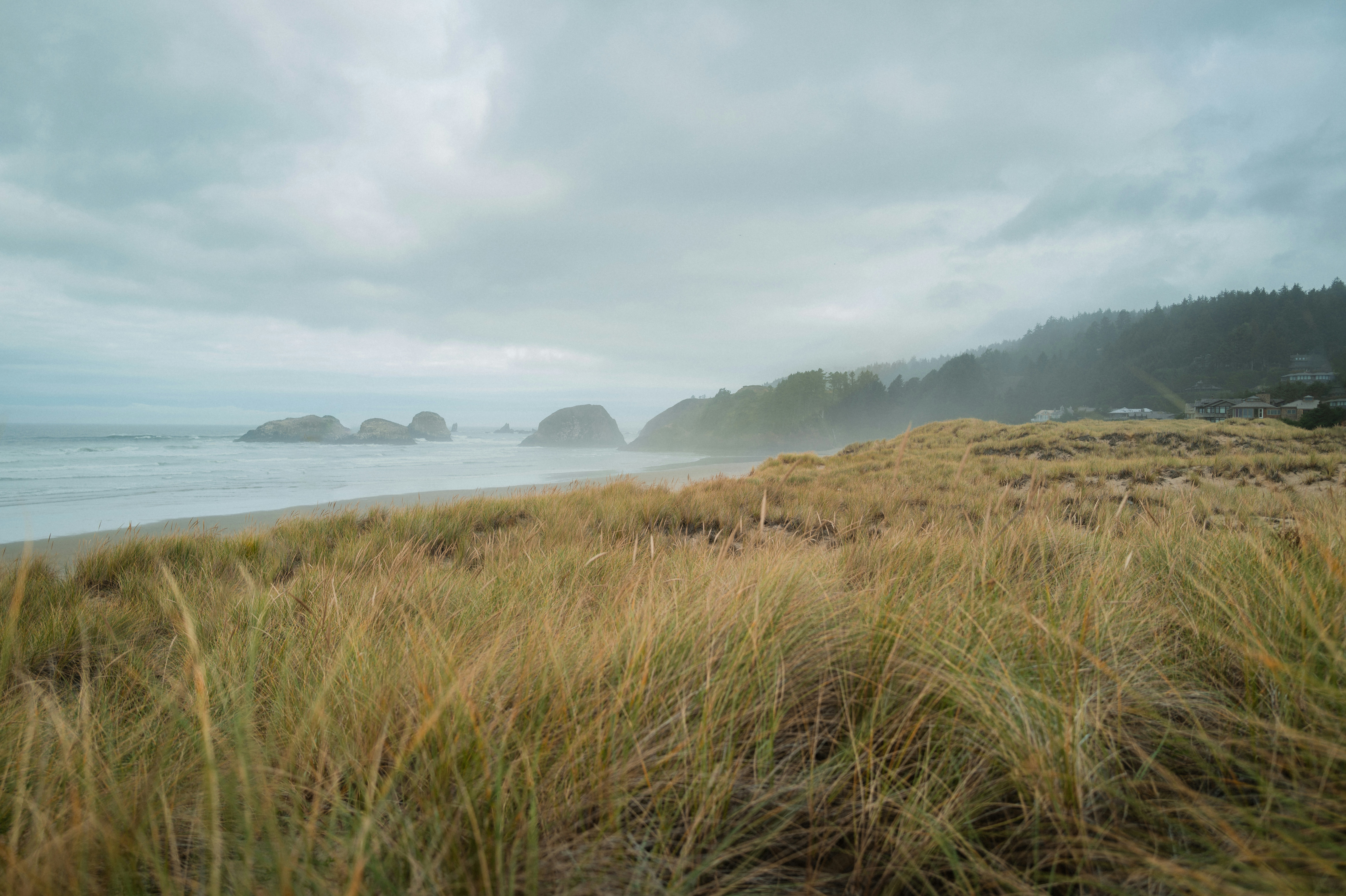 Le dune erbose incontrano una costa nebbiosa dell'oceano con affioramenti rocciosi.