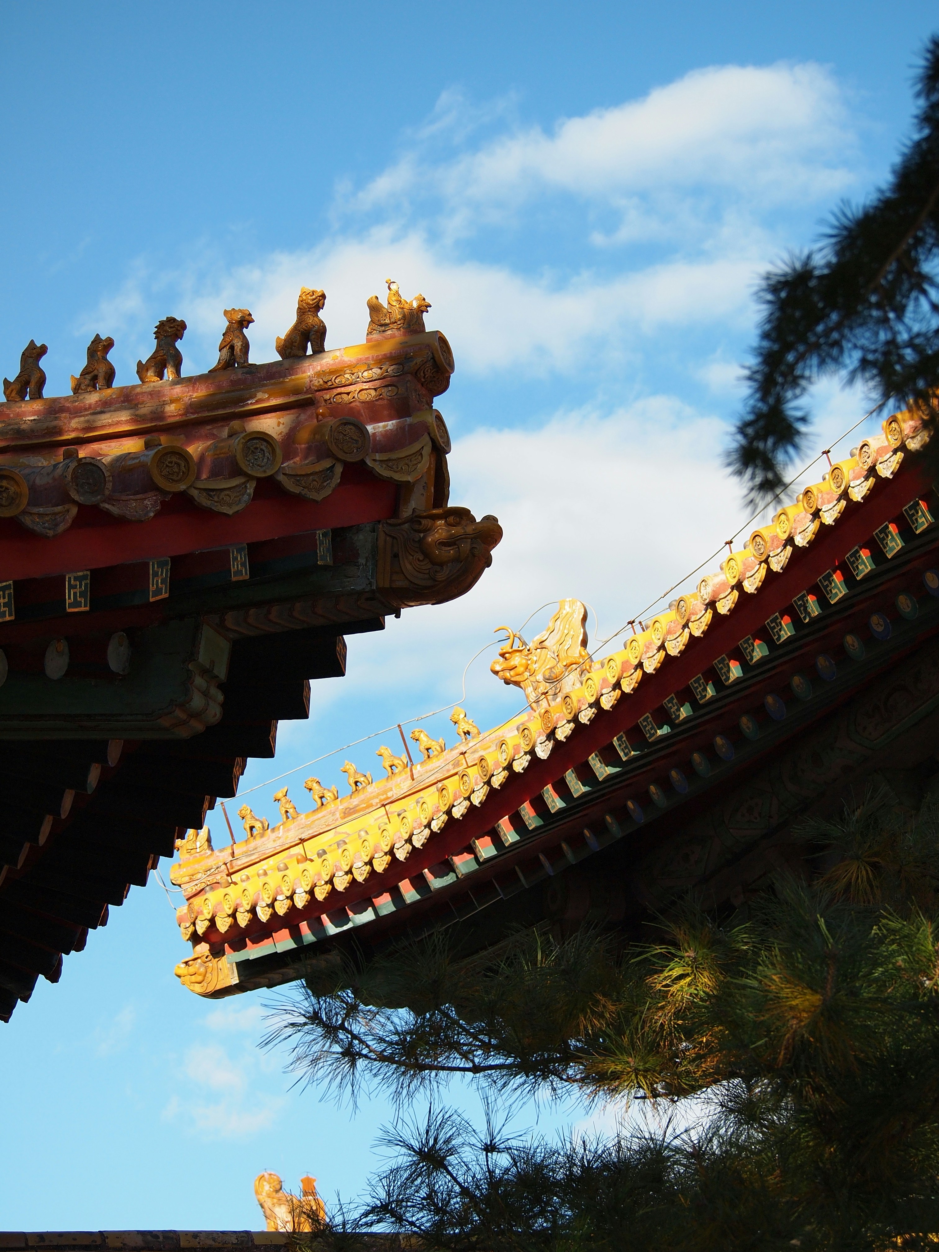 Photo by shawnieyang0606