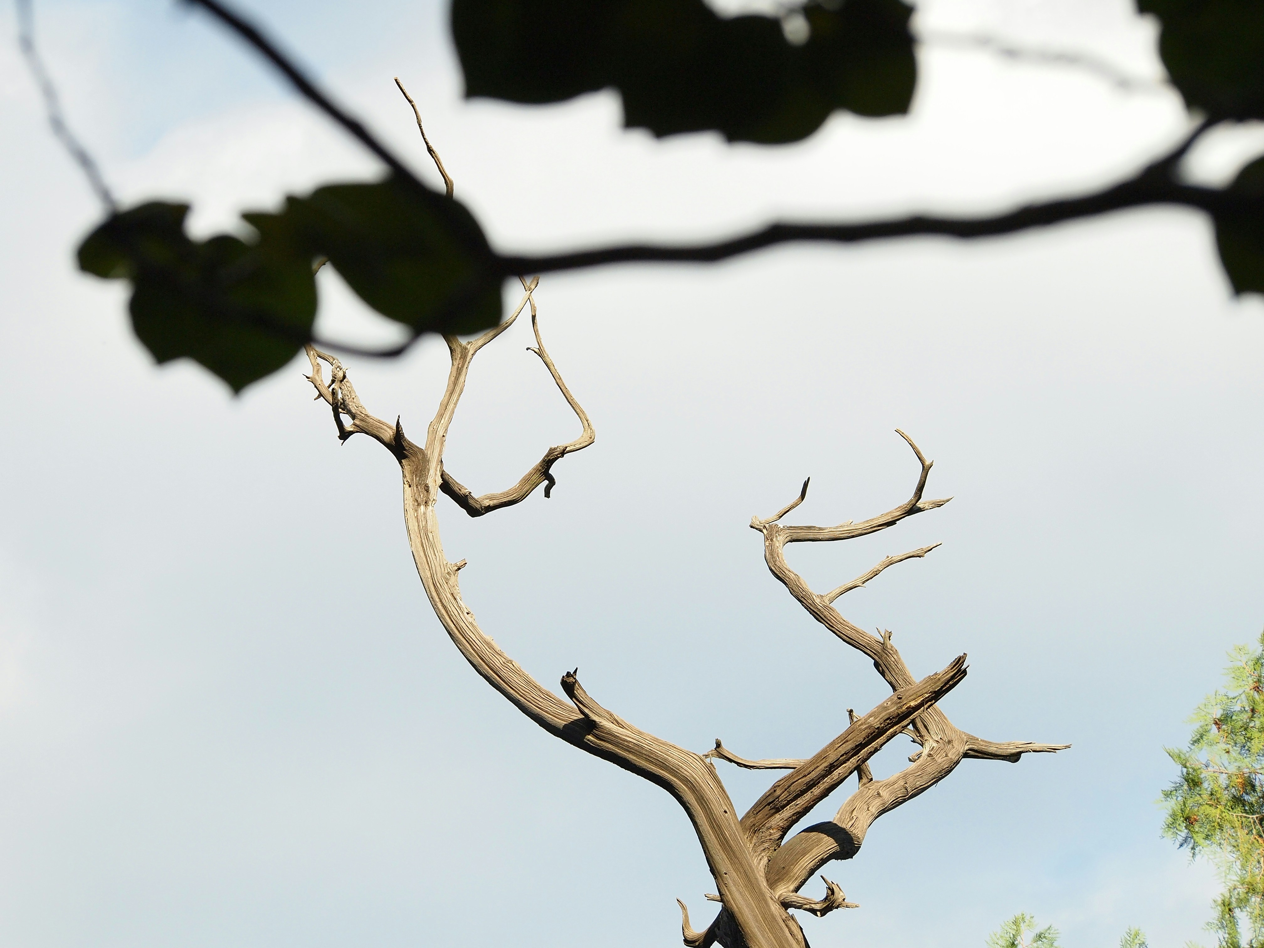 Photo by shawnieyang0606