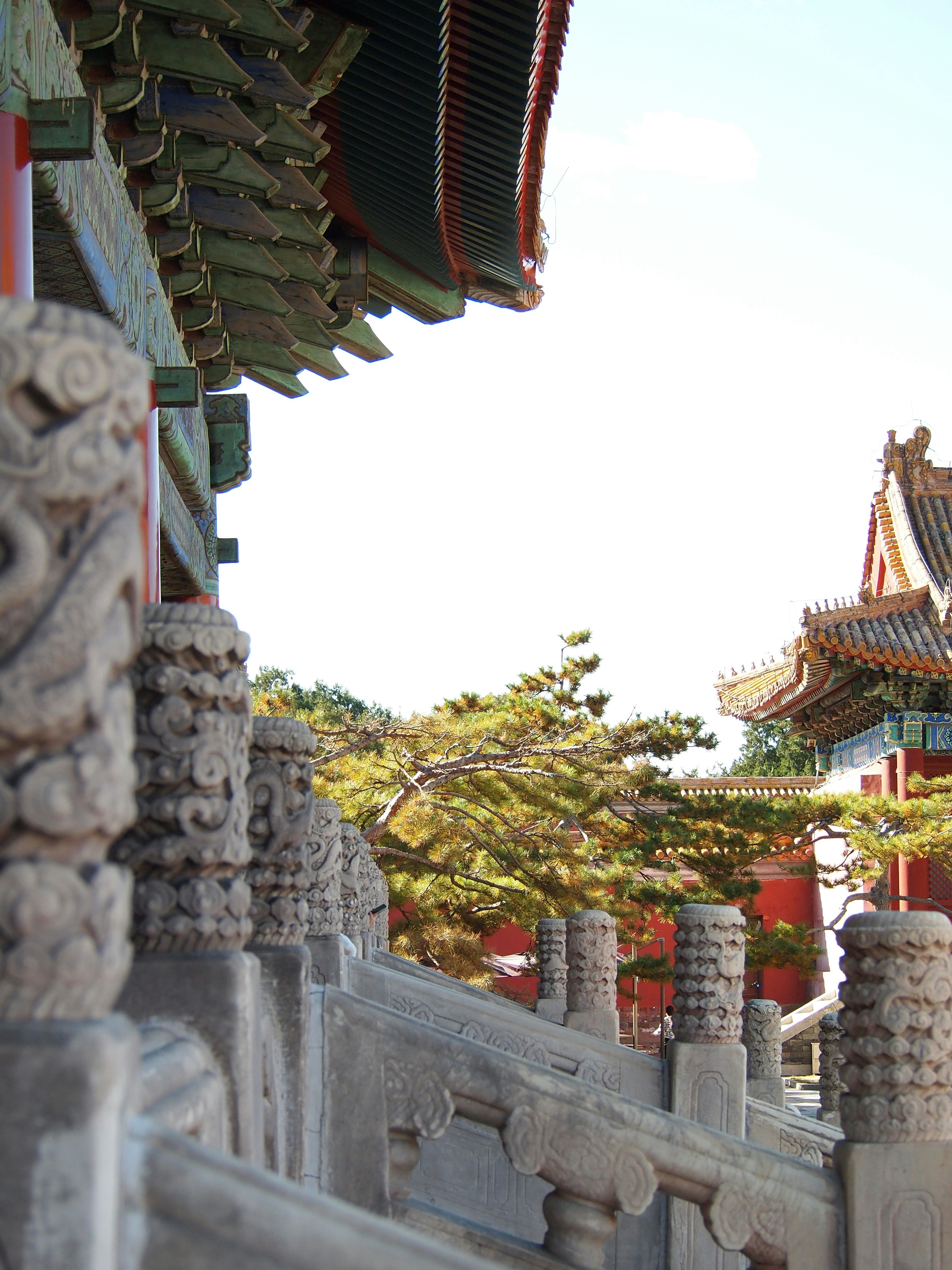 Photo by shawnieyang0606