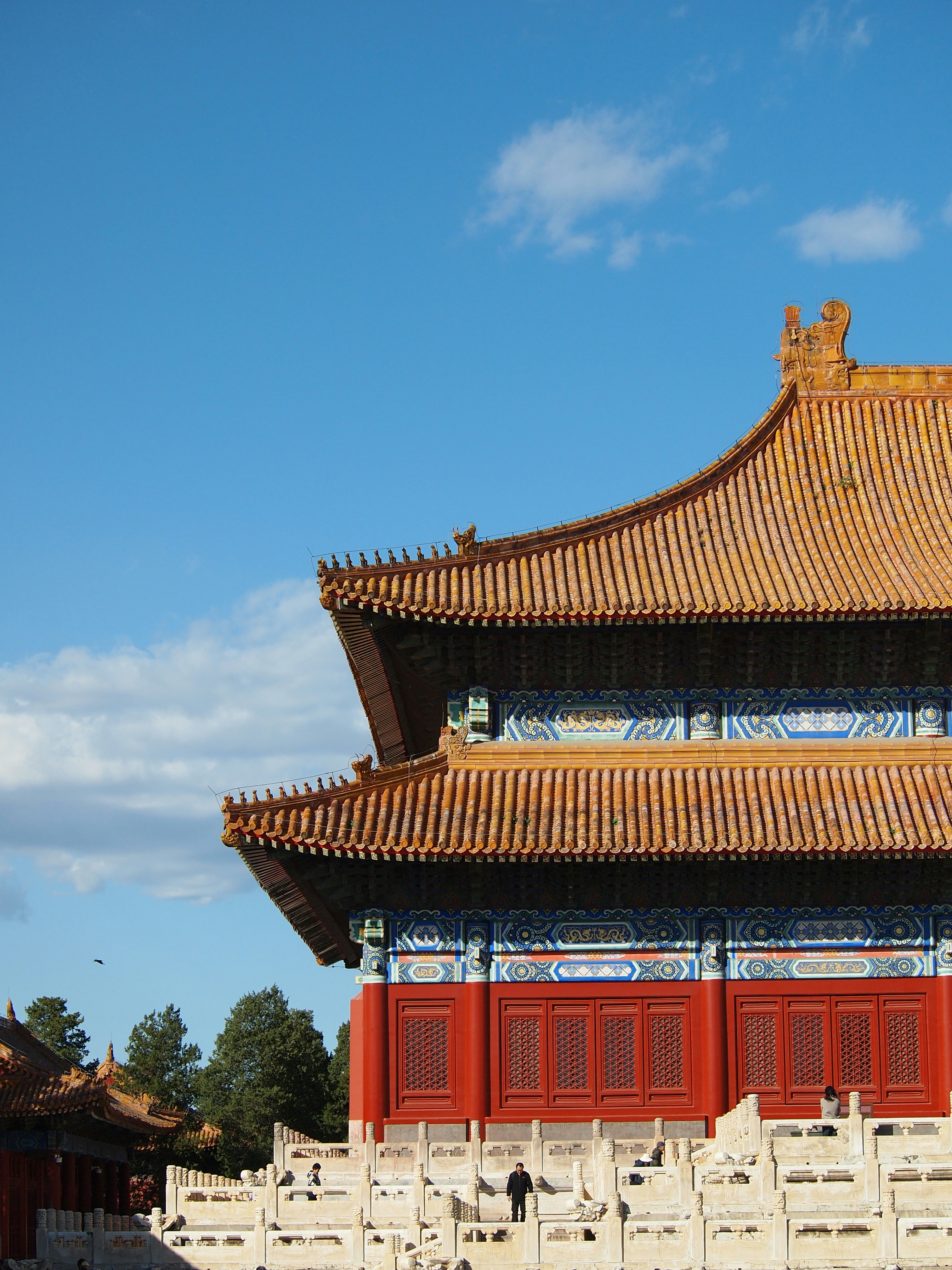 Photo by shawnieyang0606