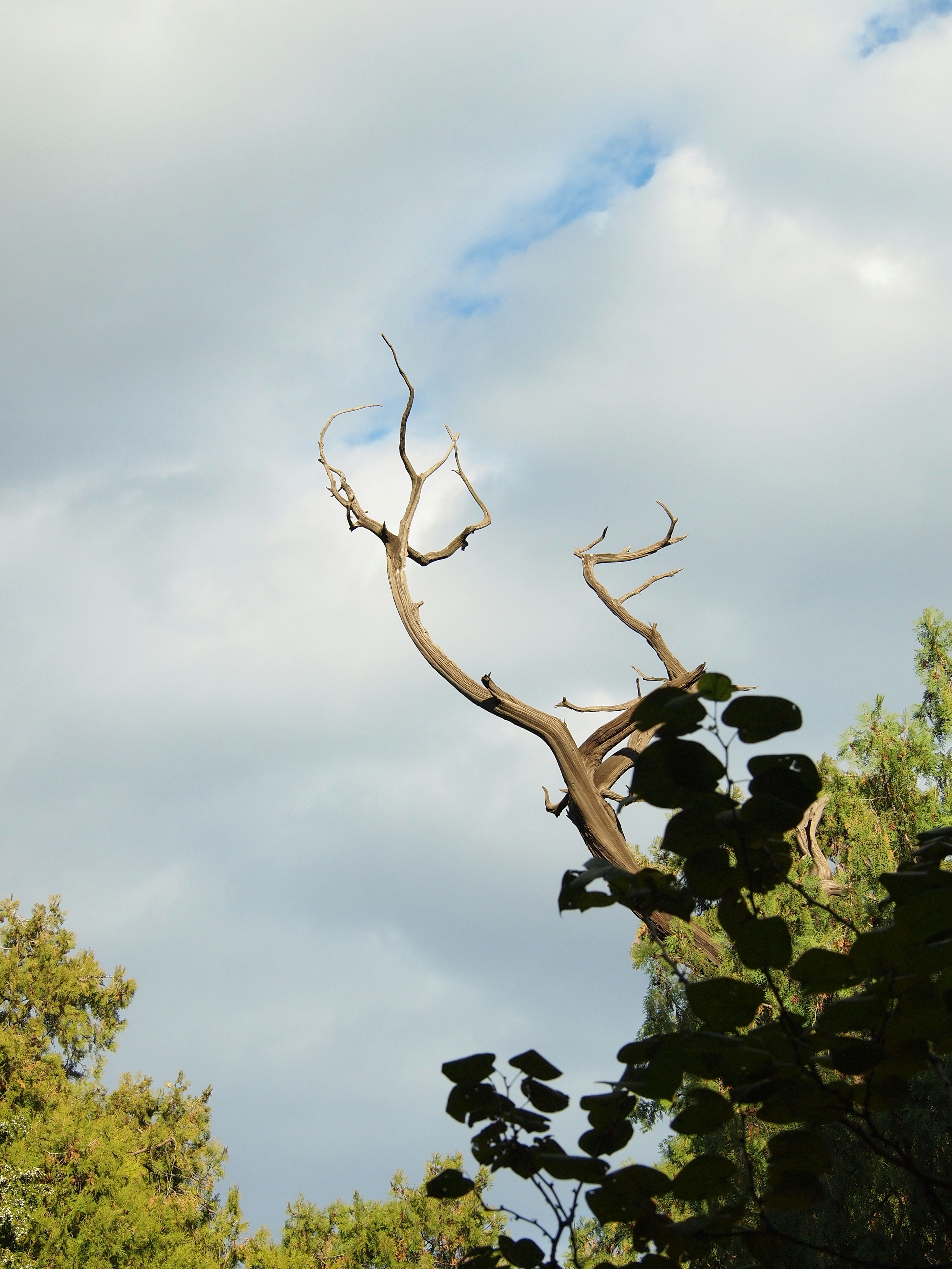 Photo by shawnieyang0606