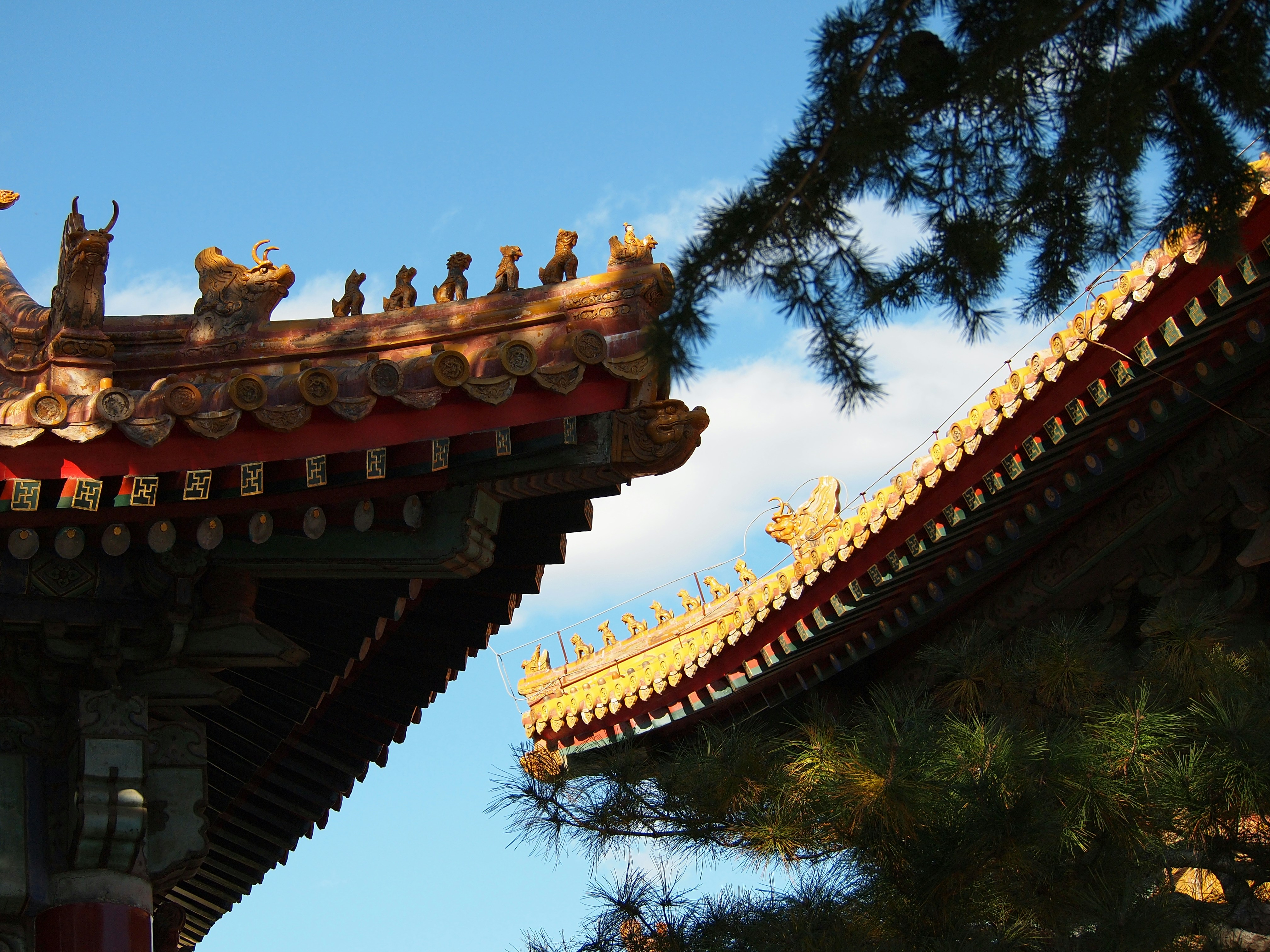 Photo by shawnieyang0606