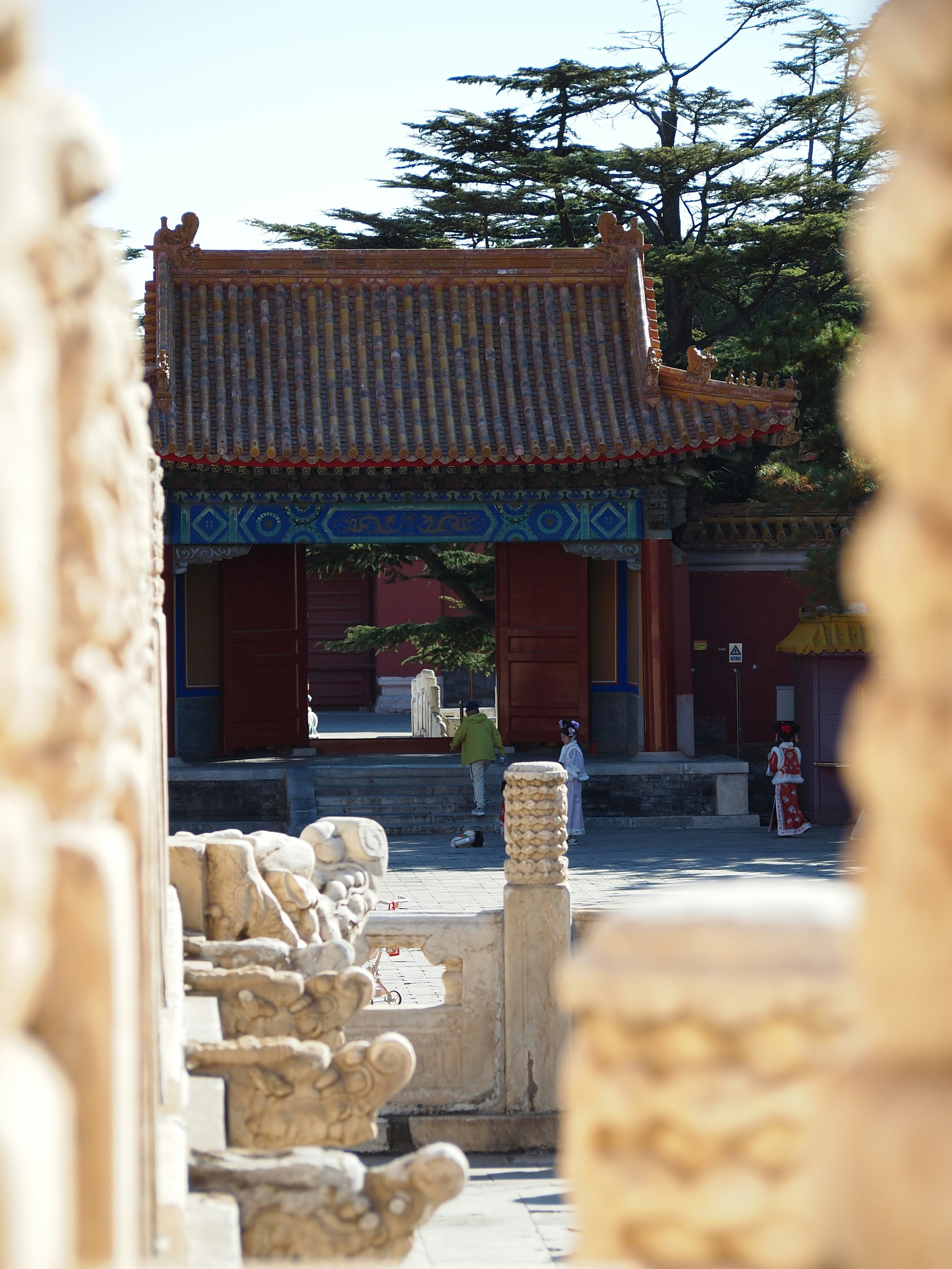 Photo by shawnieyang0606