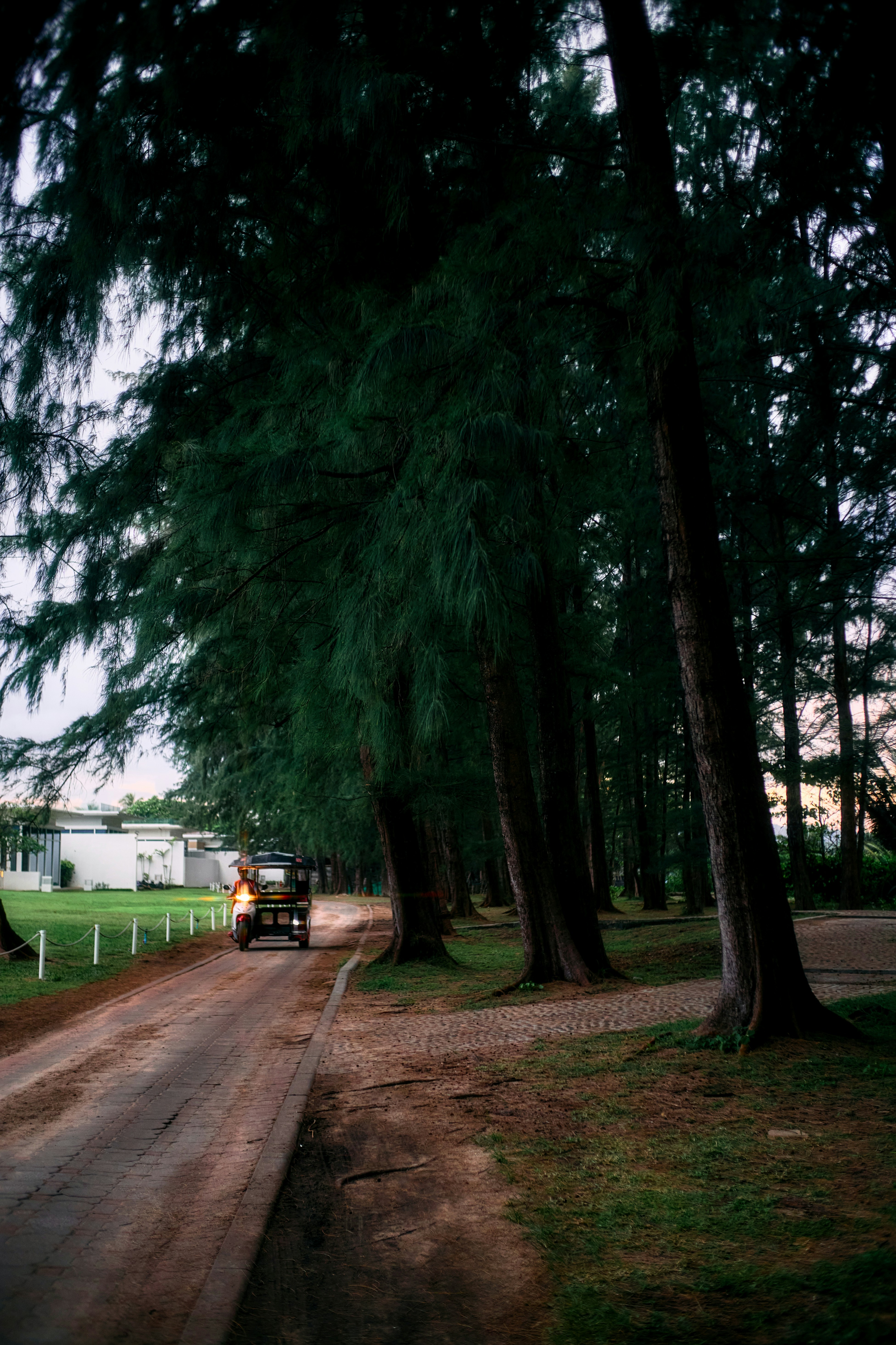 A small vehicle drives down a tree-lined dirt road.