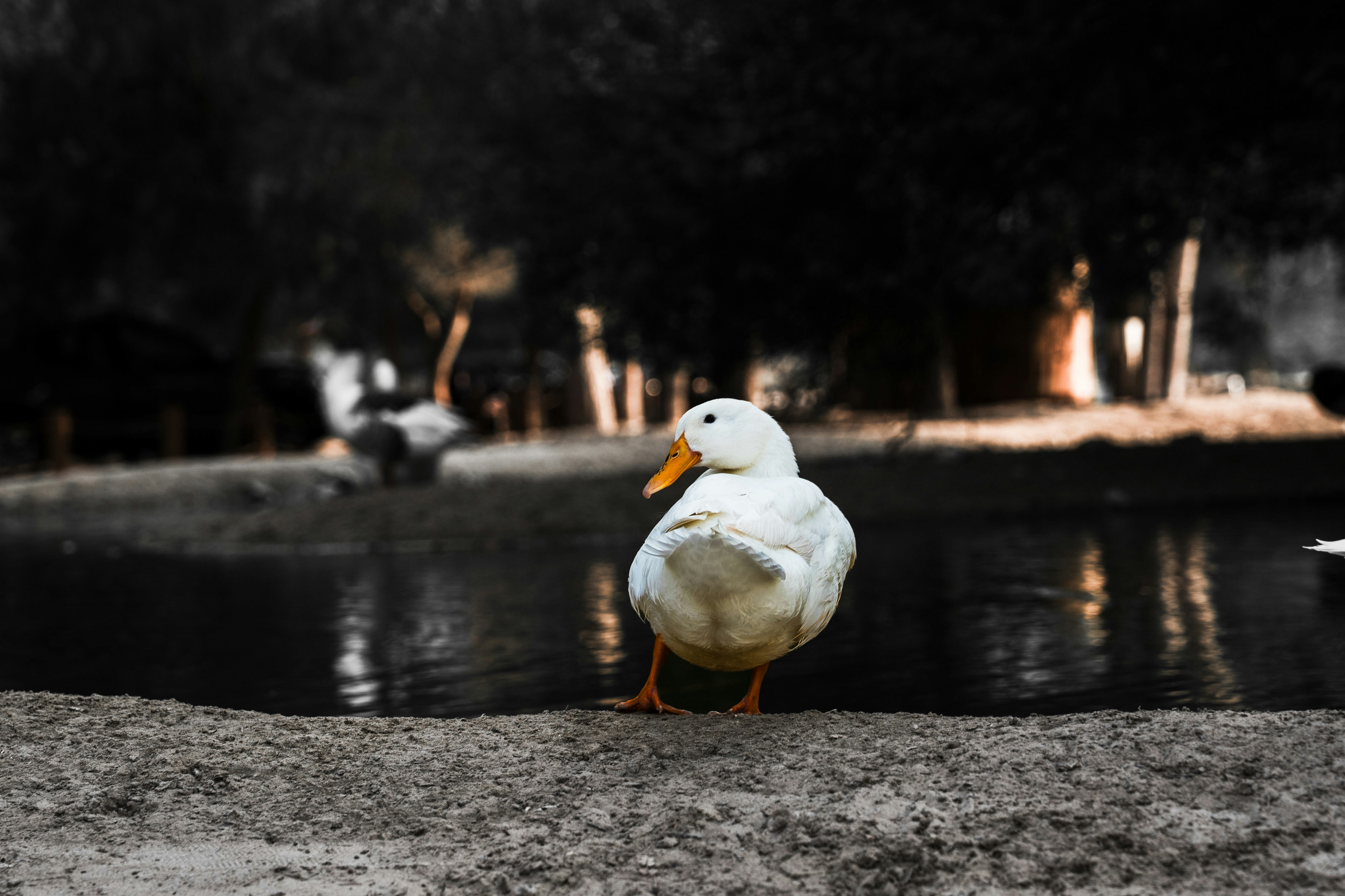 Photo by luanfonsecavisuals