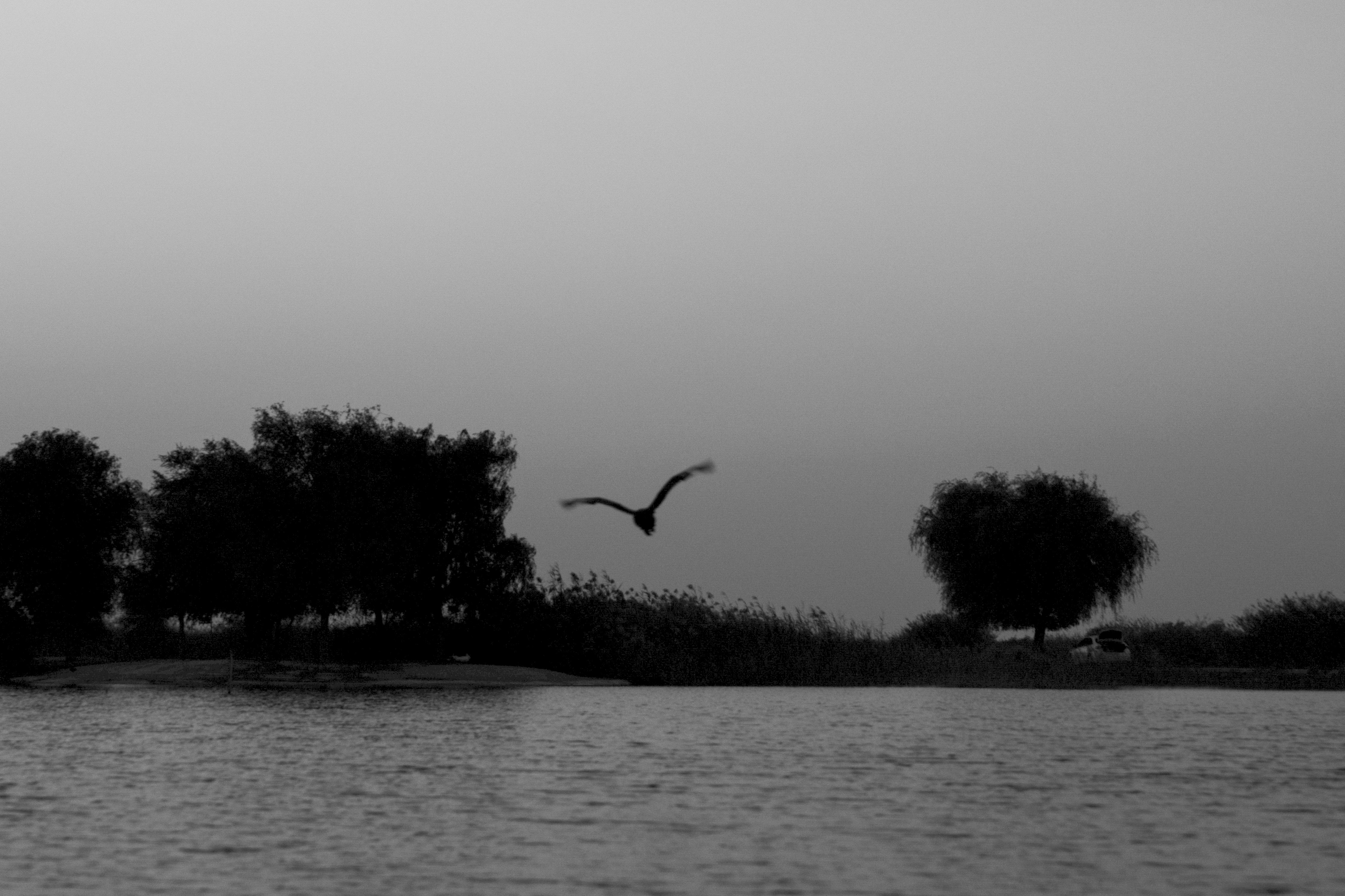 Photo by luanfonsecavisuals