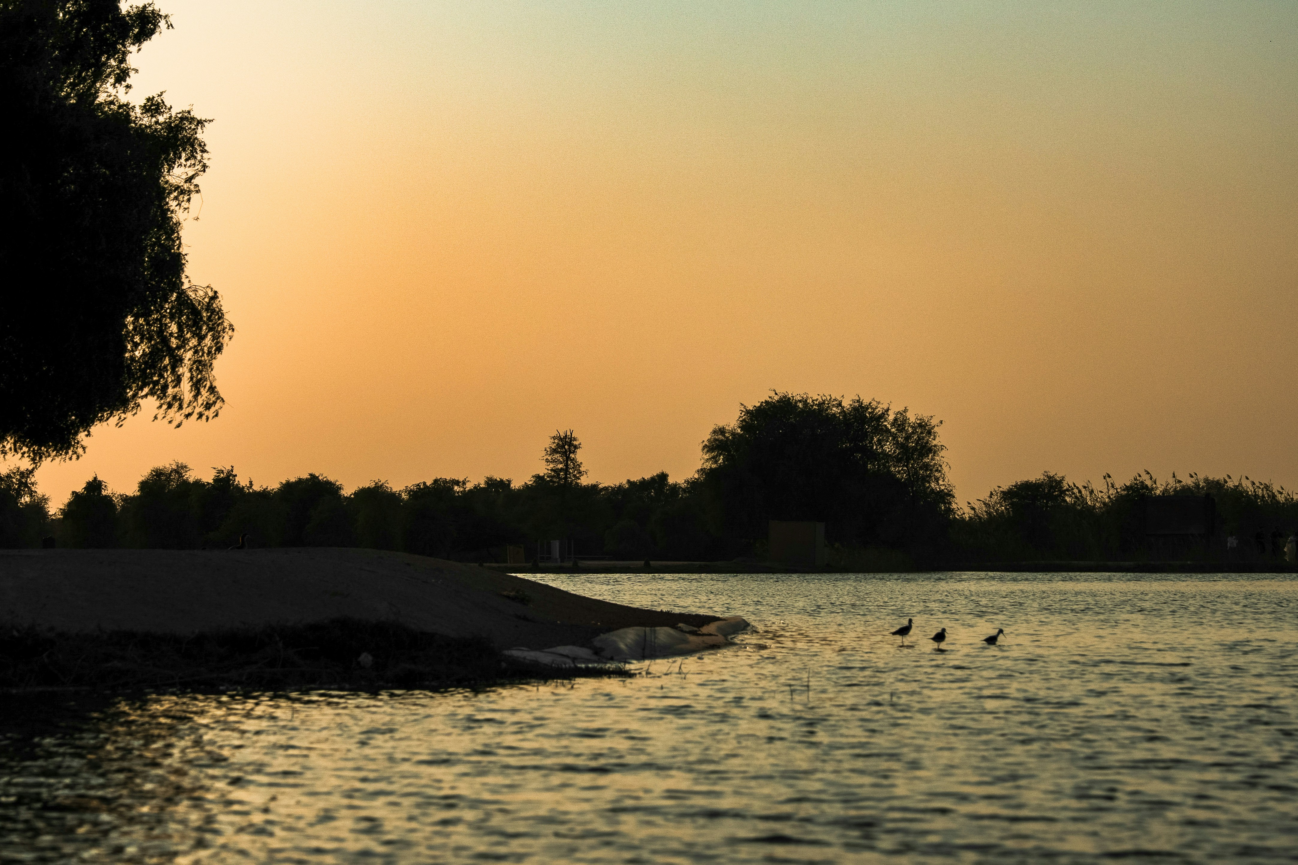 Photo by luanfonsecavisuals