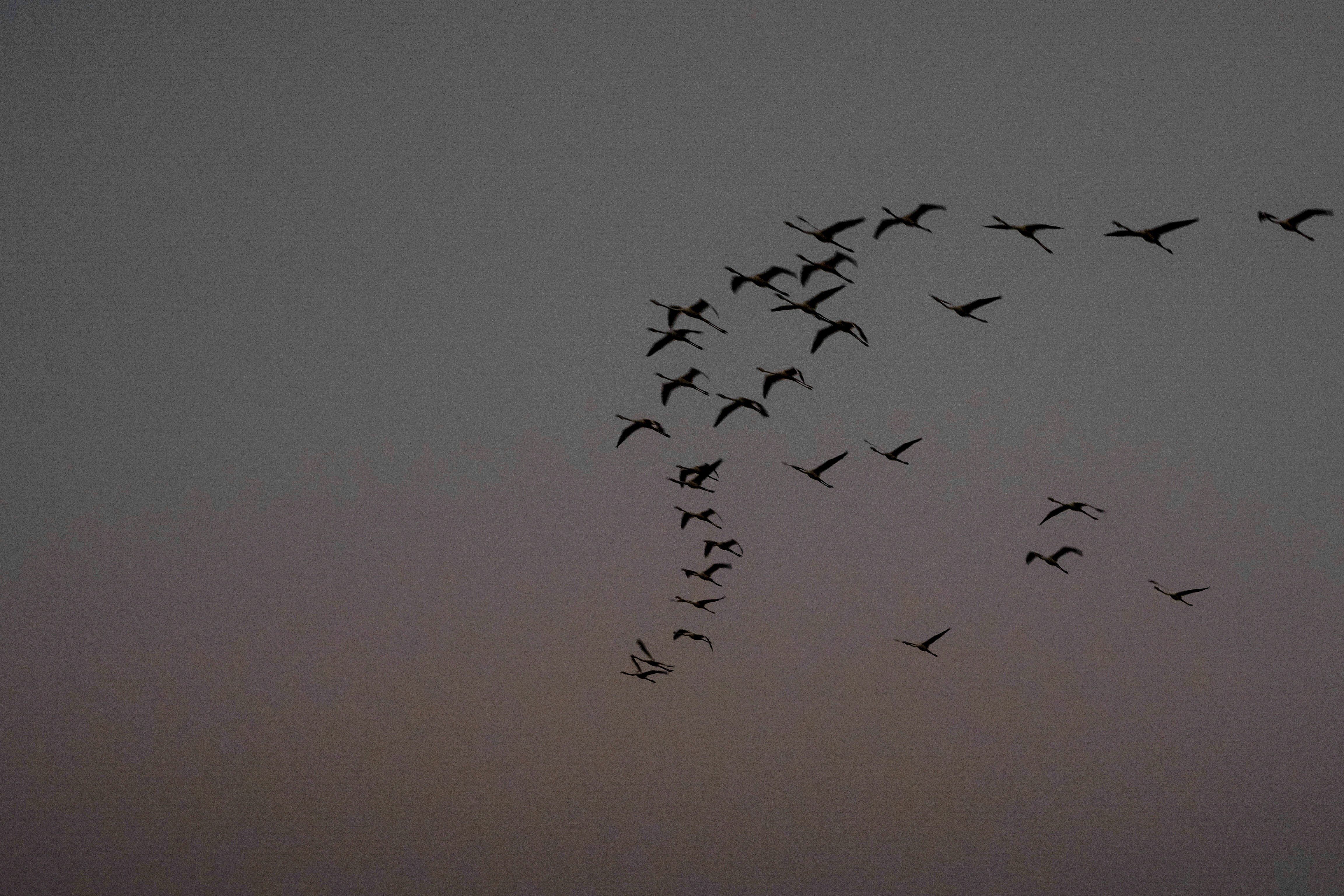 Photo by luanfonsecavisuals