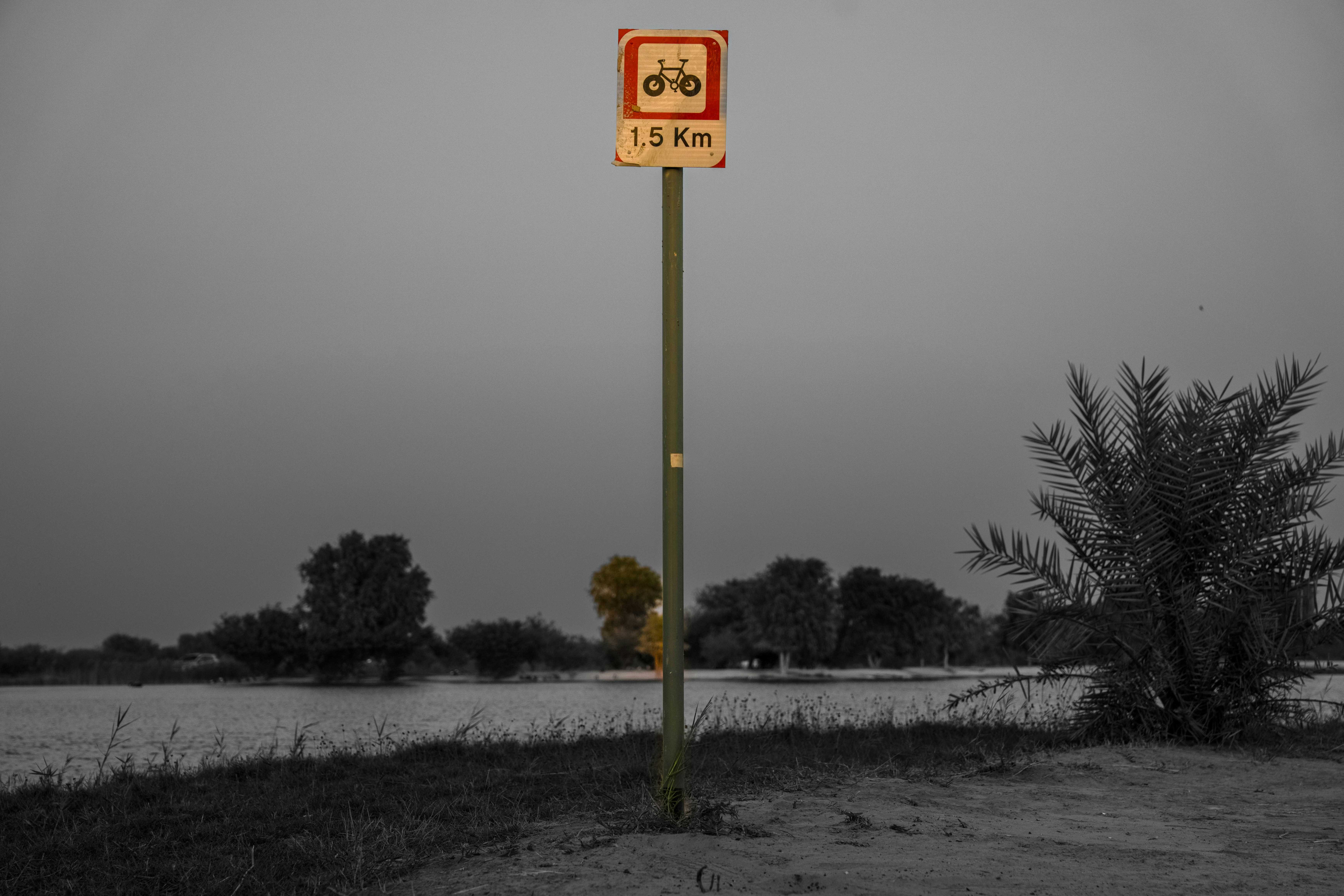 Vintage bike path sign by the lake at dusk, a nostalgic encounter between human adventure and nature.