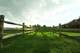 Wooden fence lining a grassy path under cloudy sky.