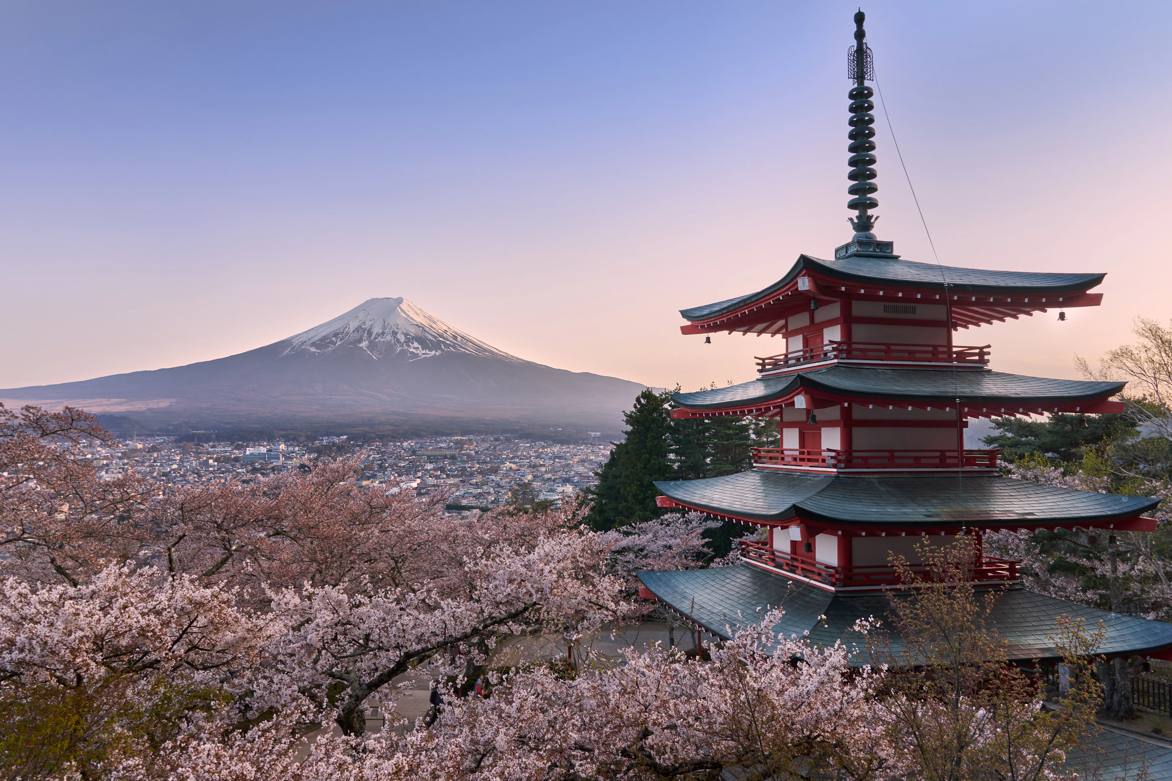 Chureito Pagoda with Mount Fuji and cherry blossoms at dusk