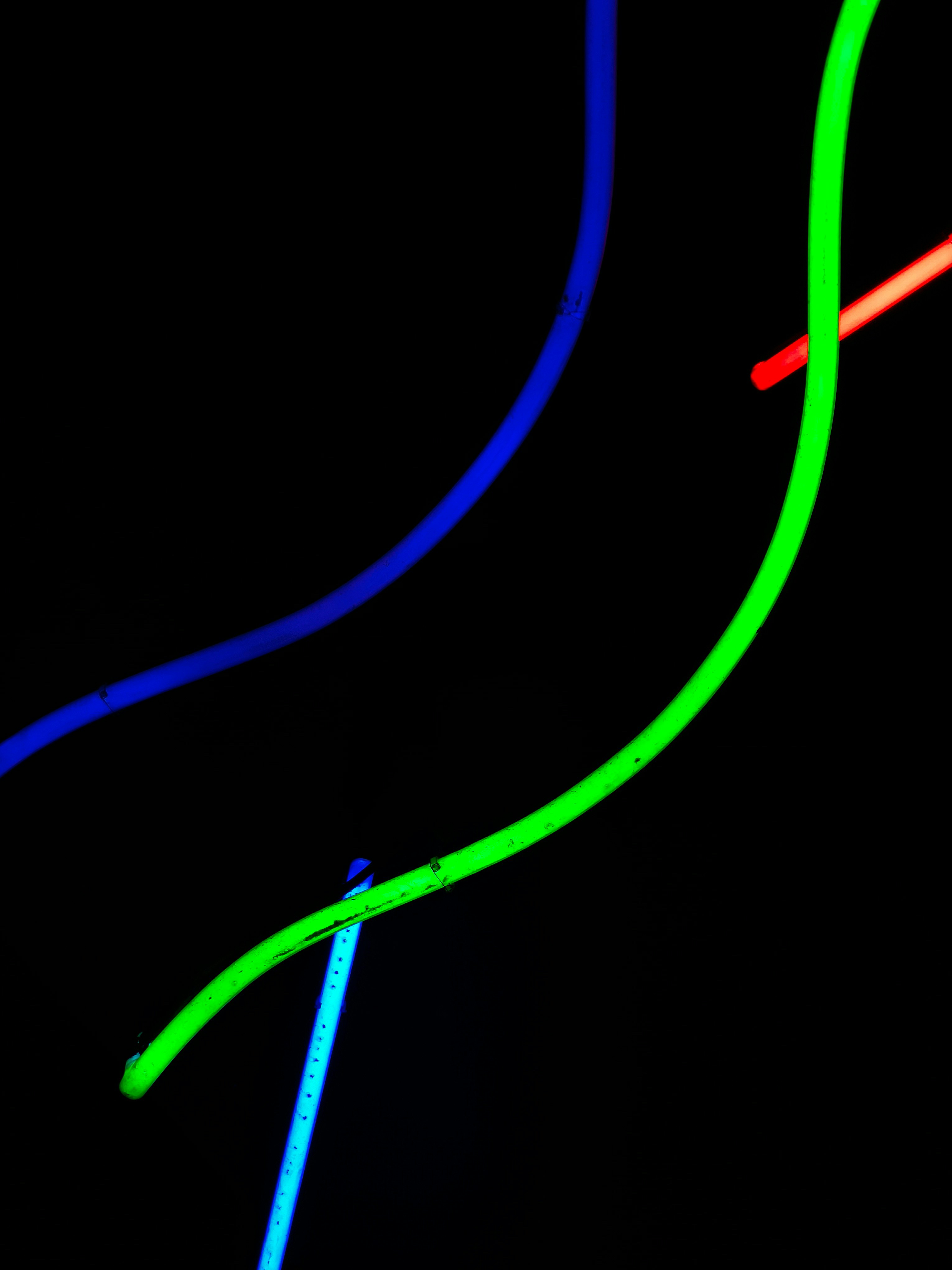 Photo by filipenobre