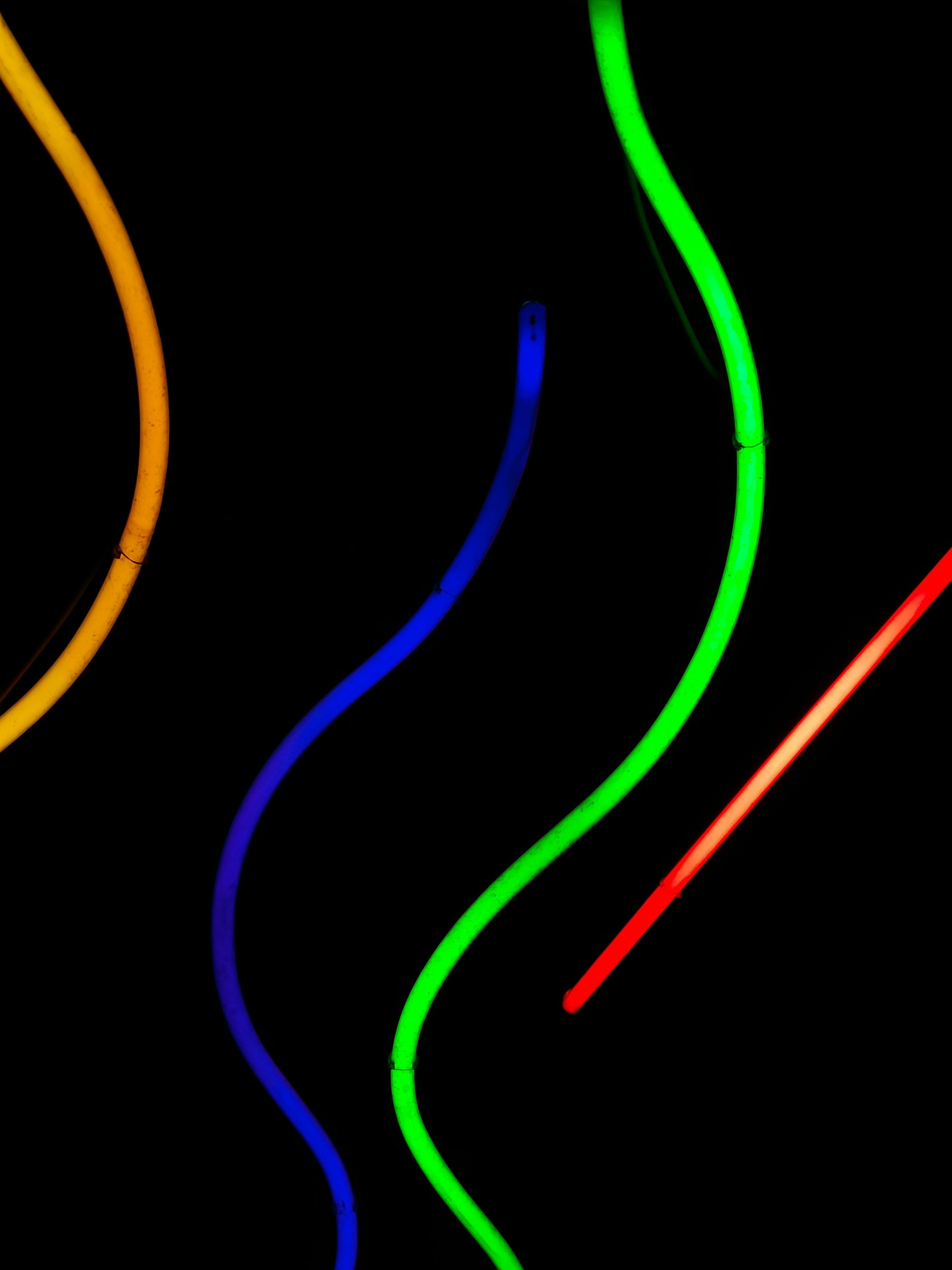 Photo by filipenobre