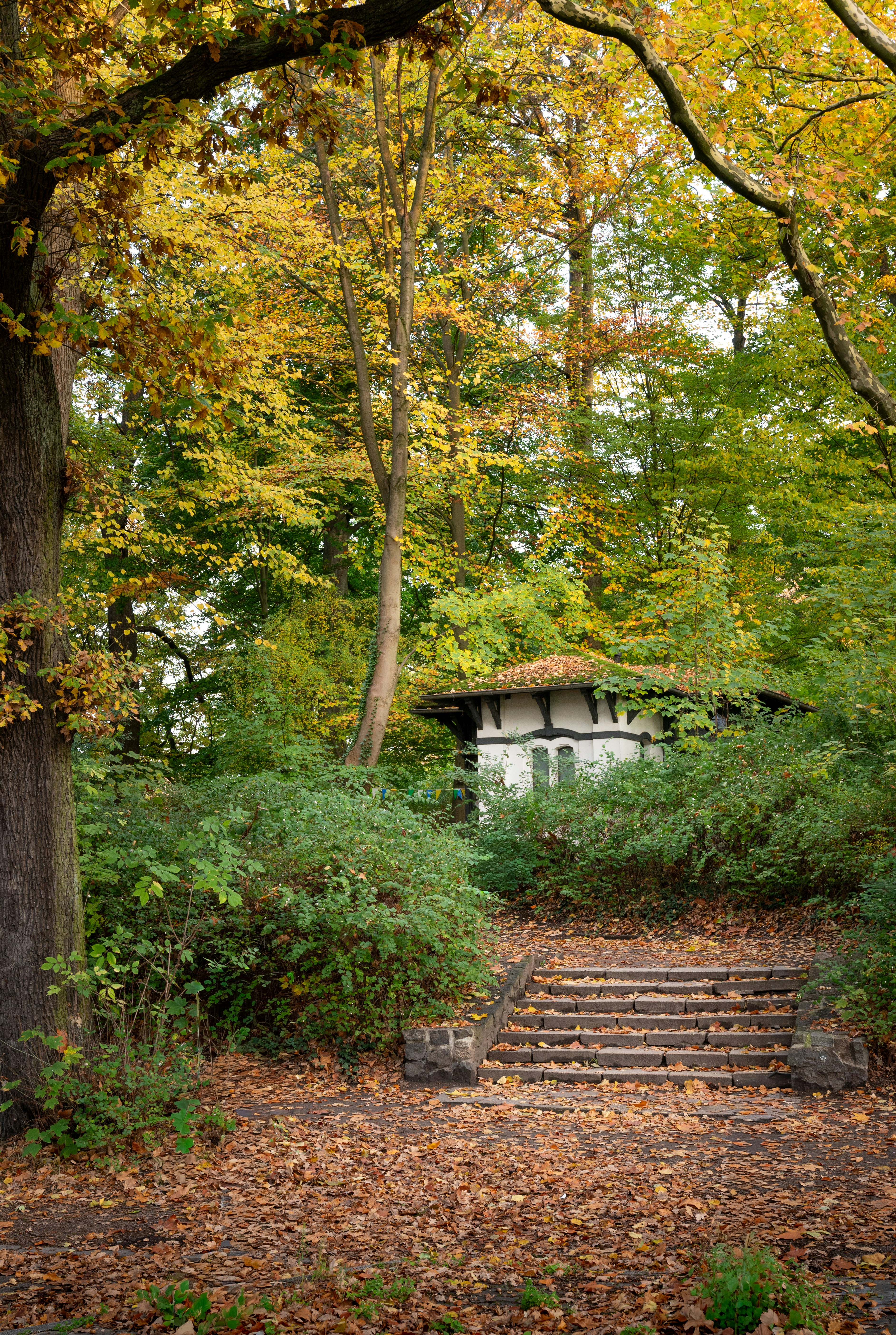 Photo by ruben_aster