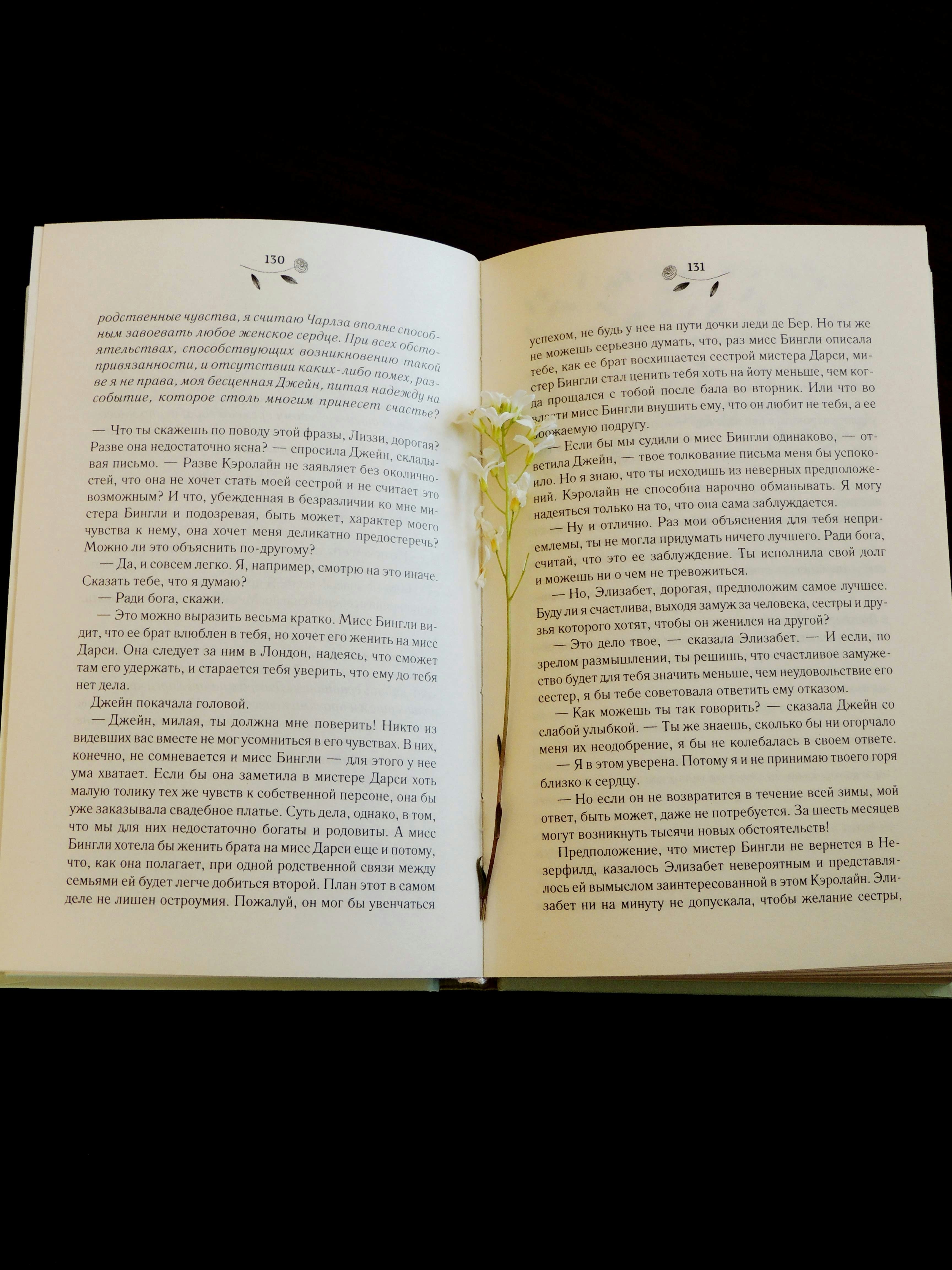 An open book with a delicate flower between pages.