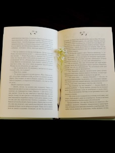 An open book with a delicate flower between pages.