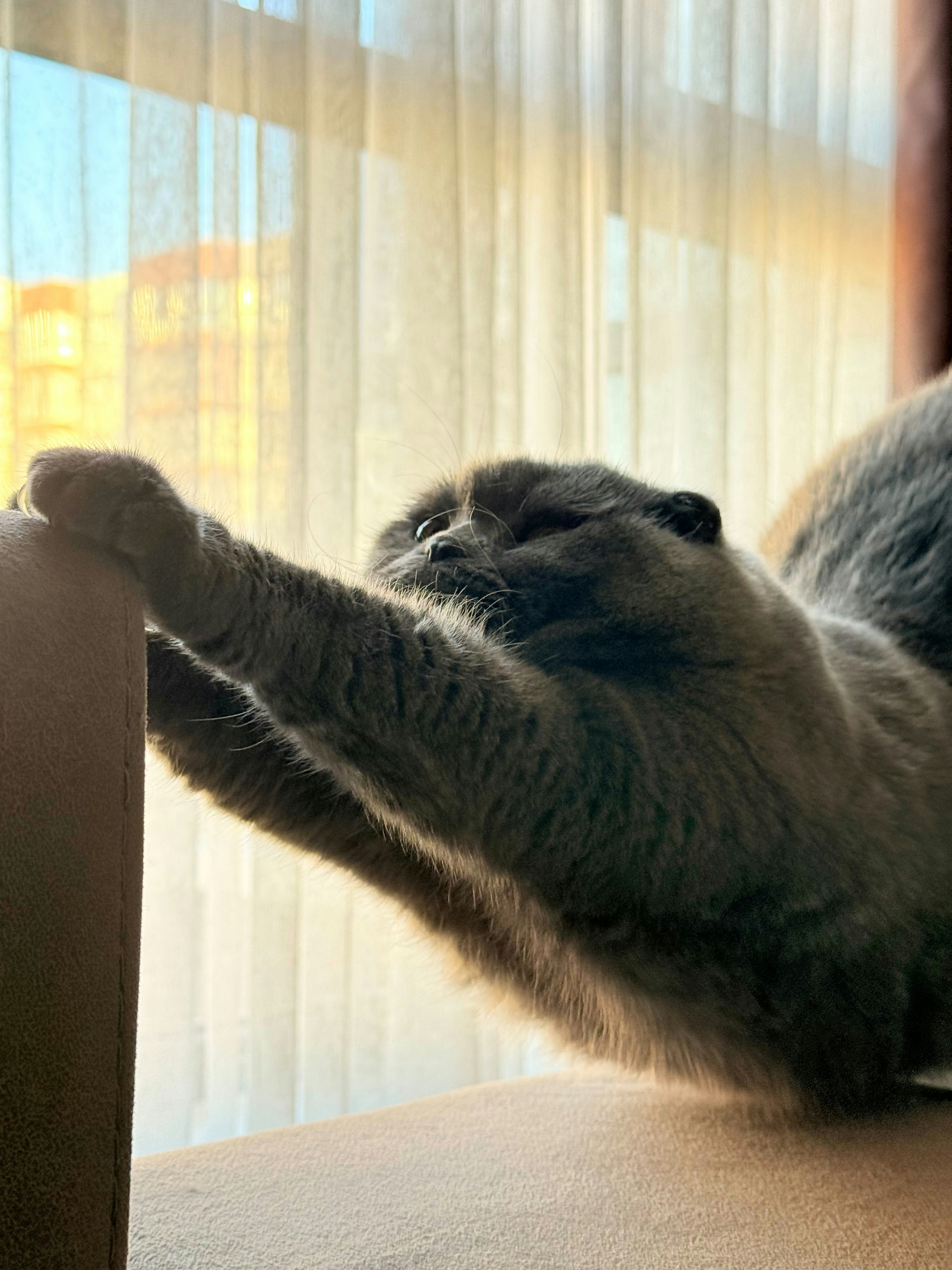 Home Stretch For The Holidays