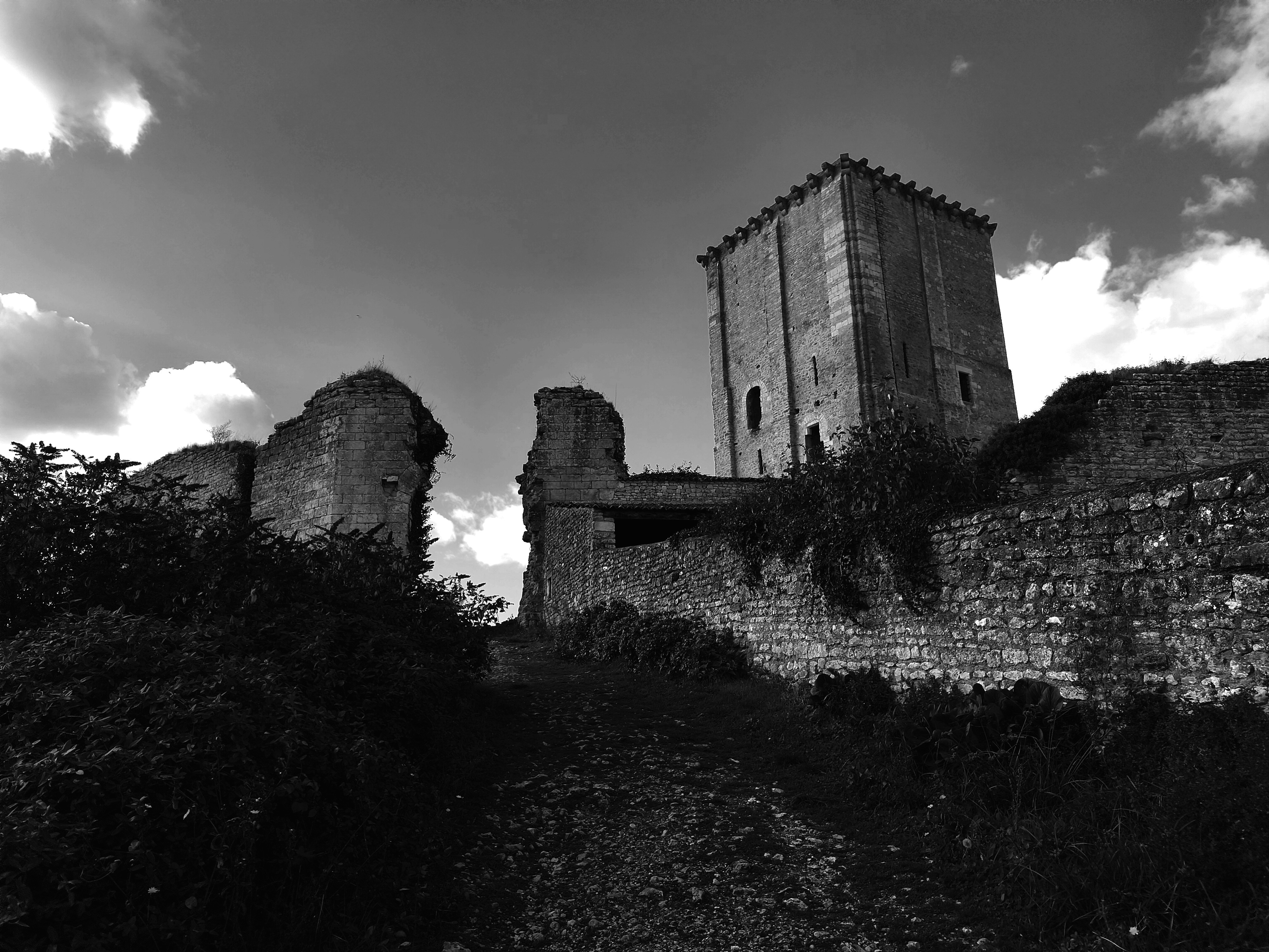 Photo by geraldine86170