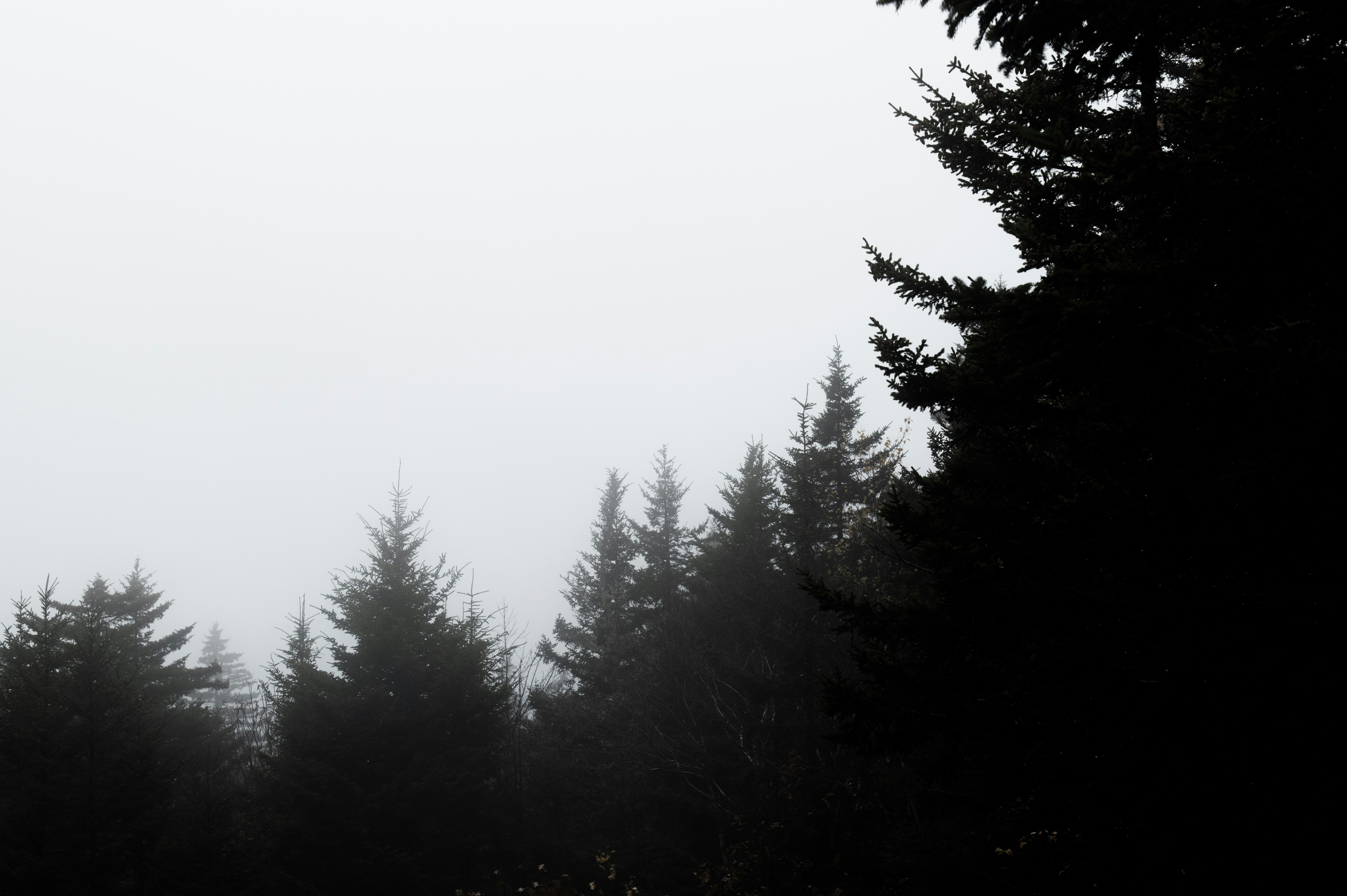 Photo by nh_landscapes