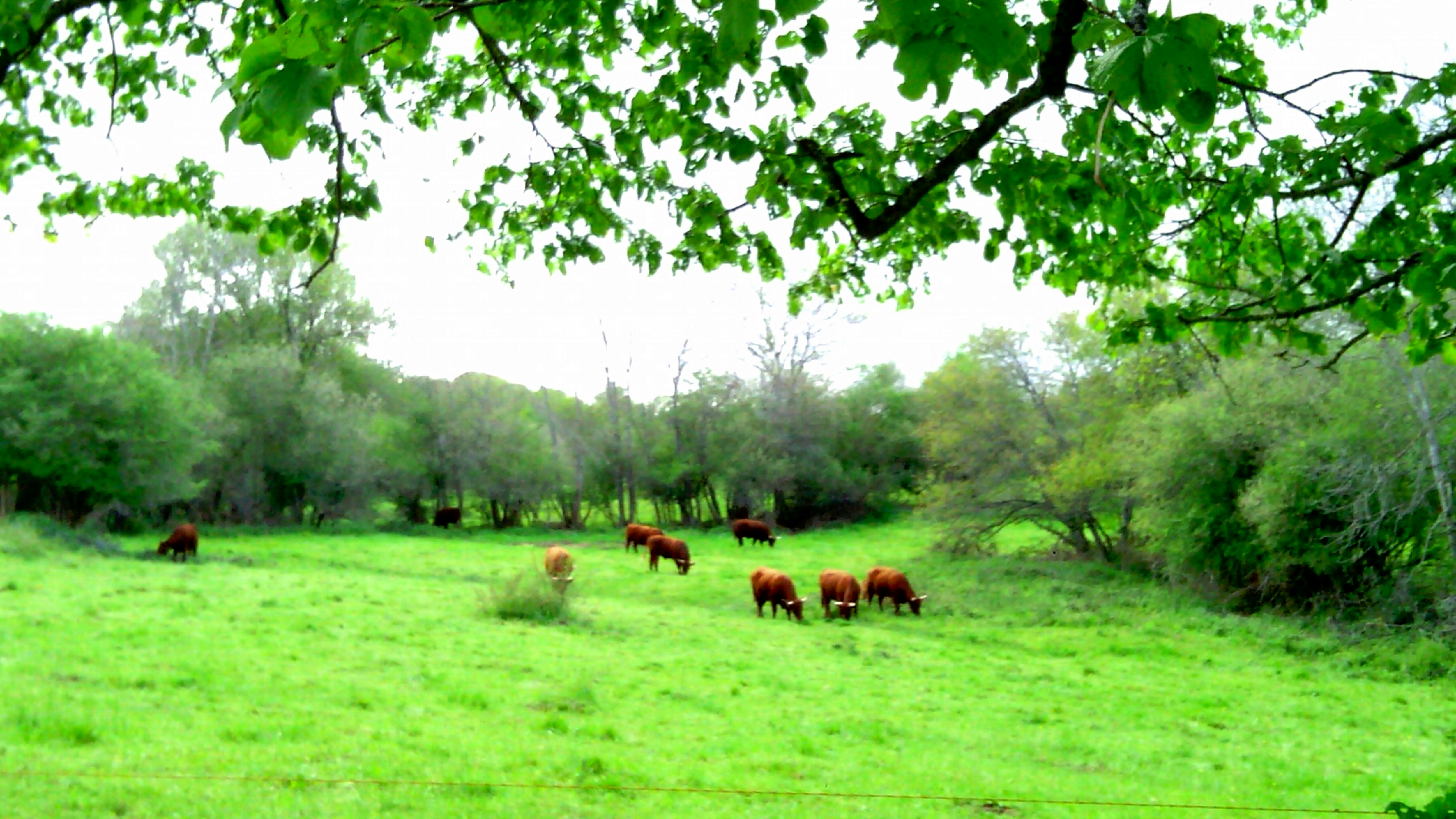 Photo by mike_steelen