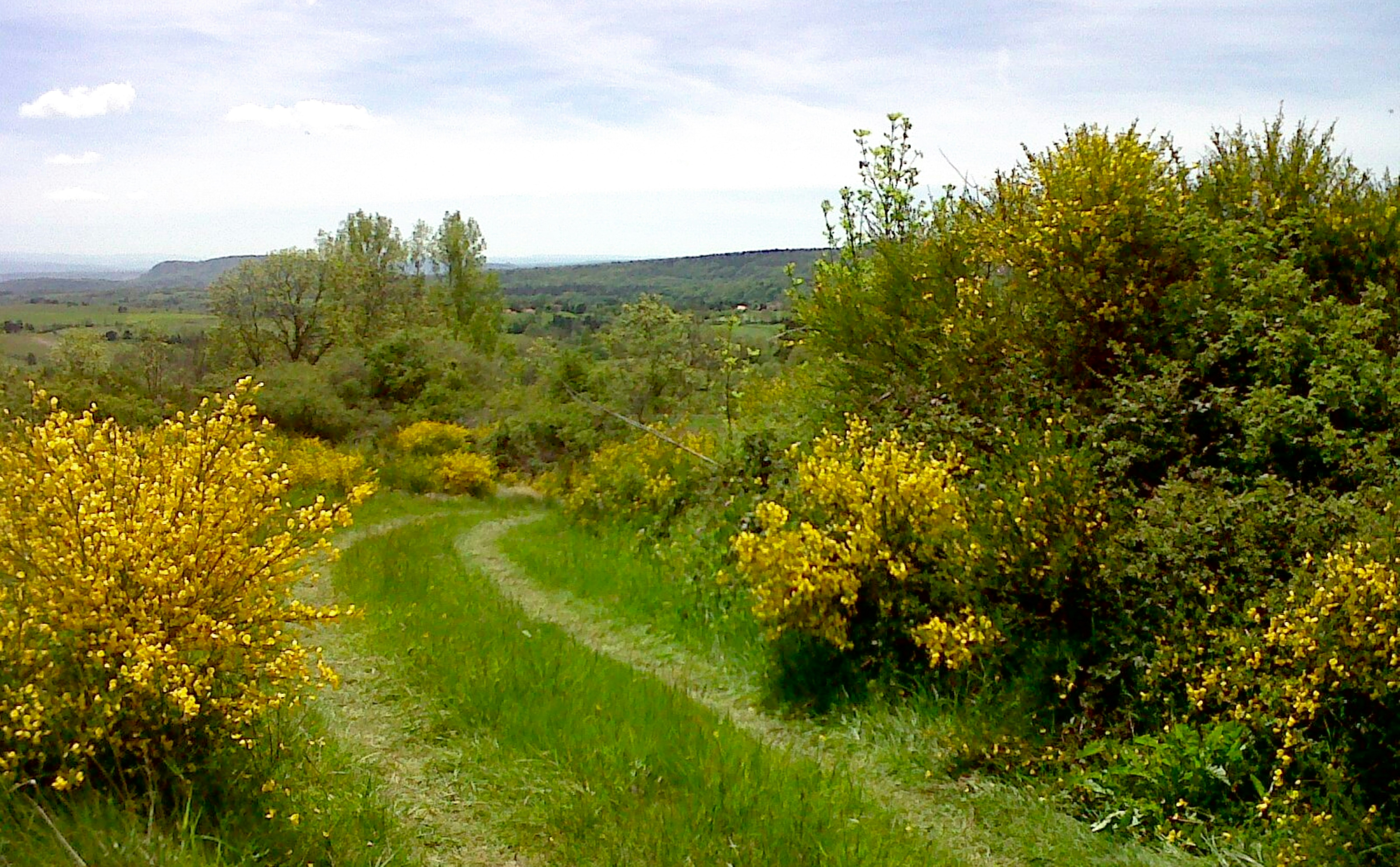 Photo by mike_steelen