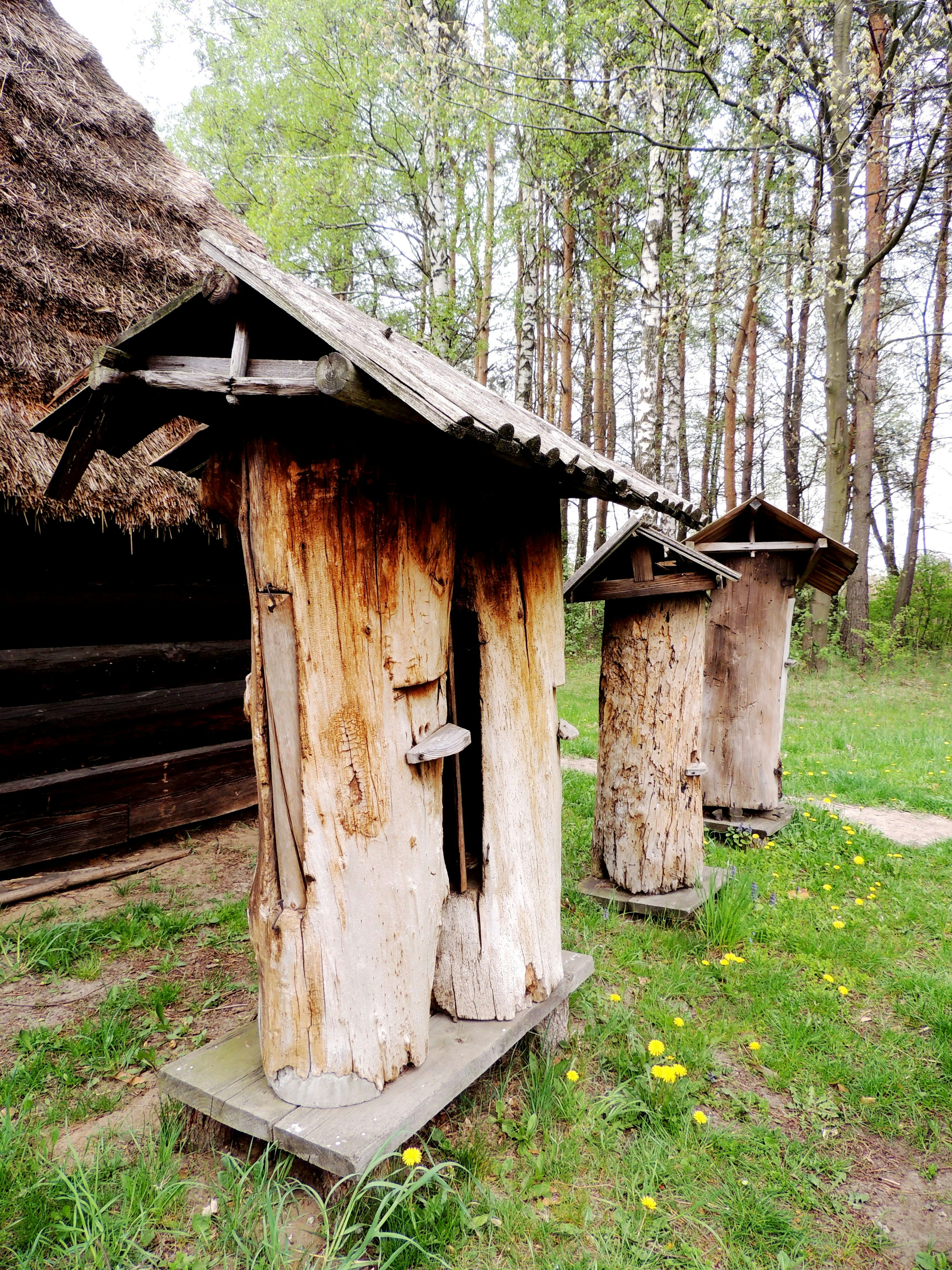 Three hollowed log beehives in a grassy field.