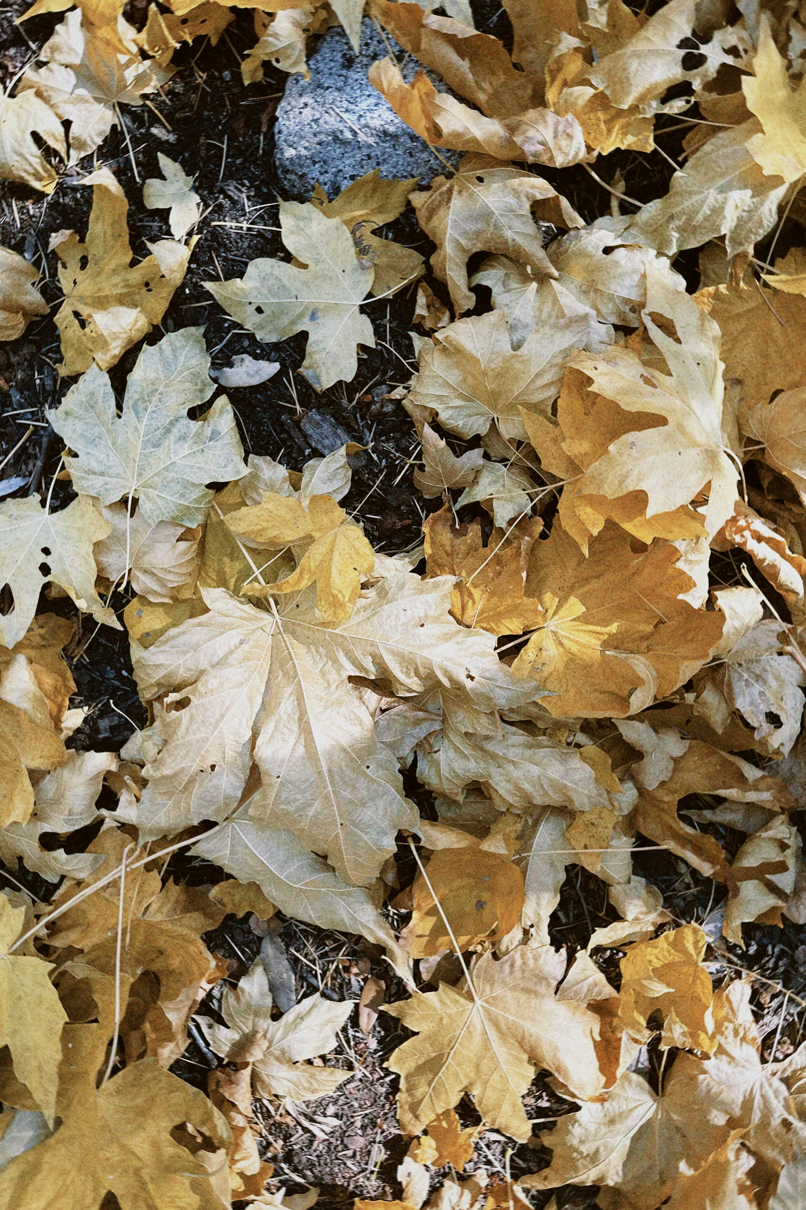 Photo by christopherstites