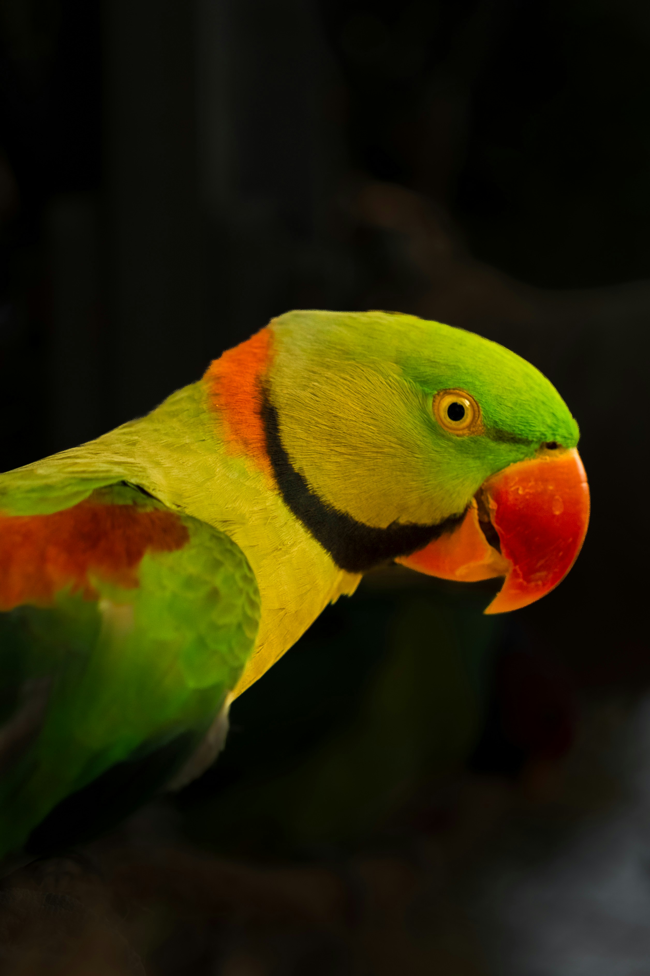 Photo by luanfonsecavisuals