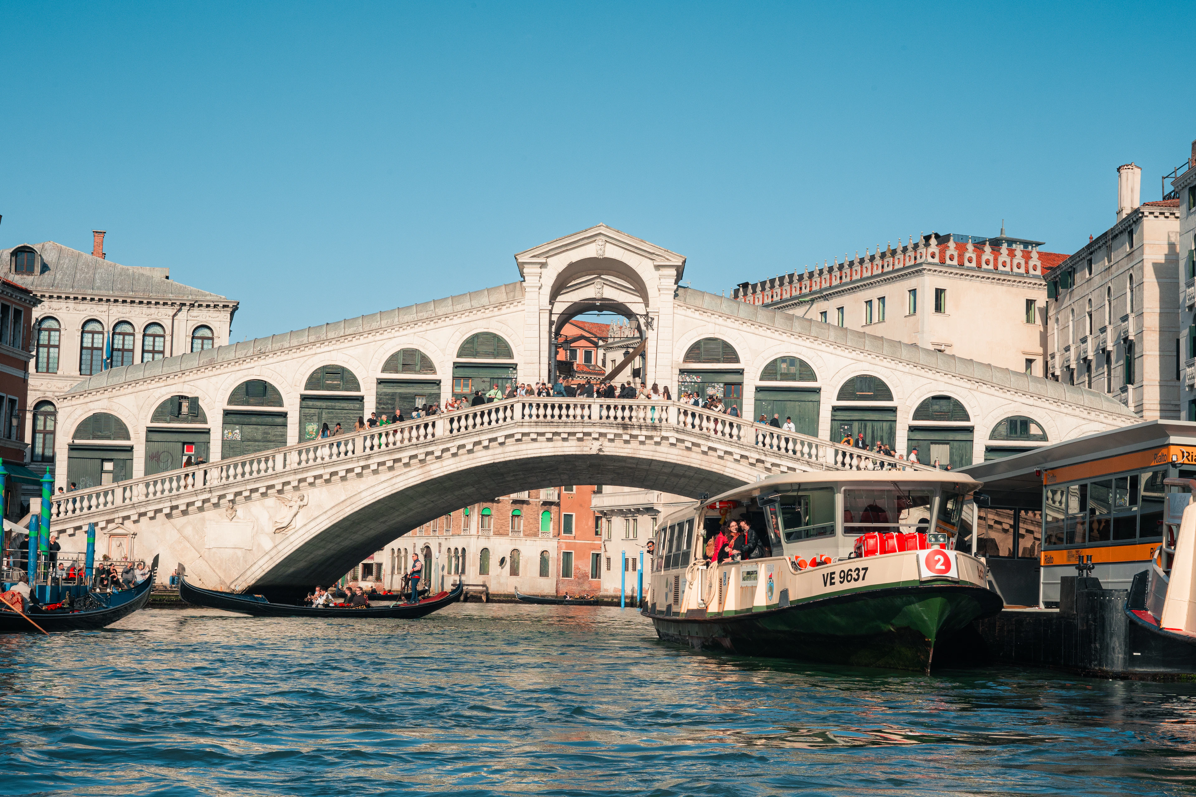 The Rialto Bridge arching over the Grand Canal in Venice