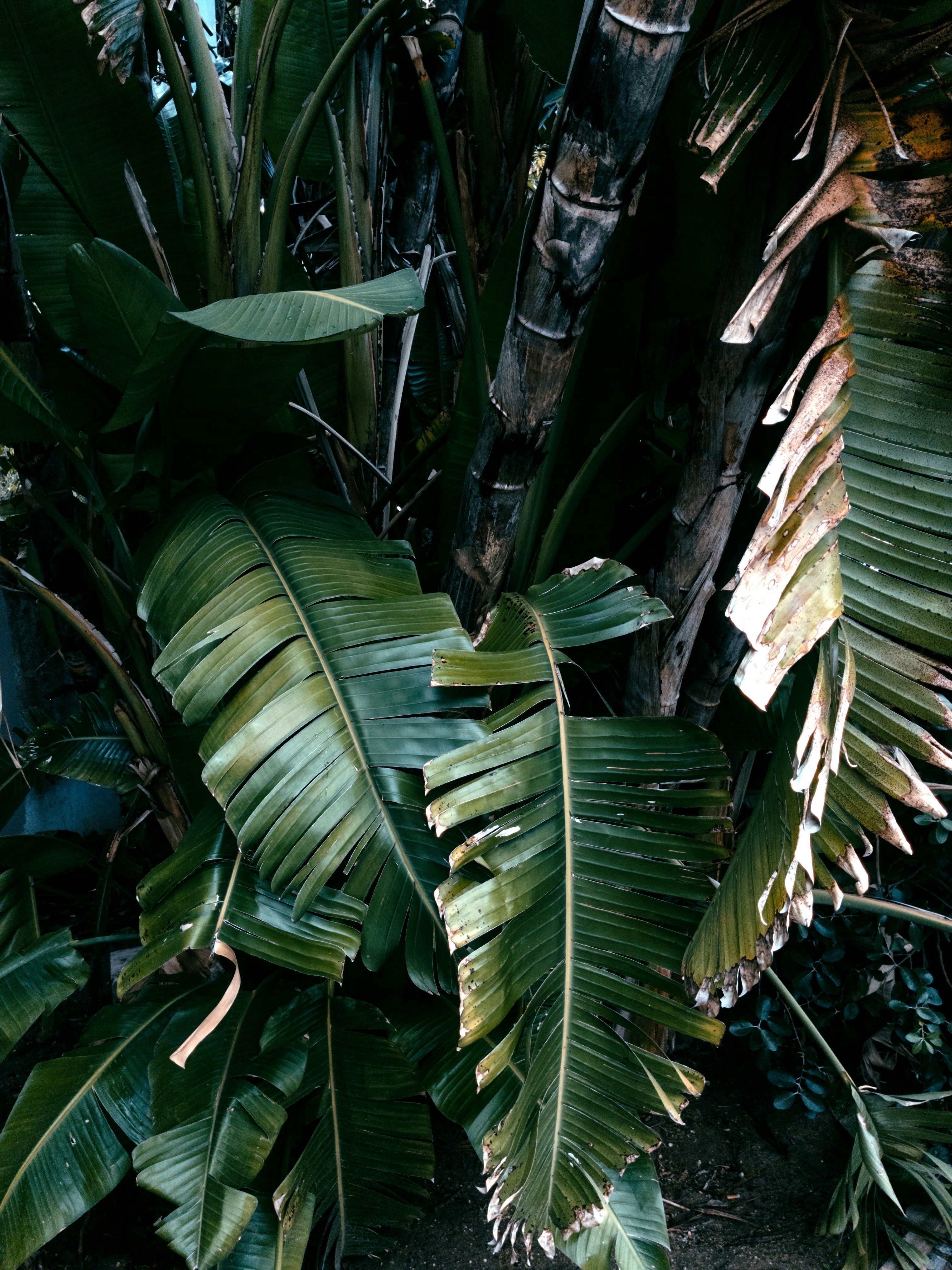 Photo by astashov_artem