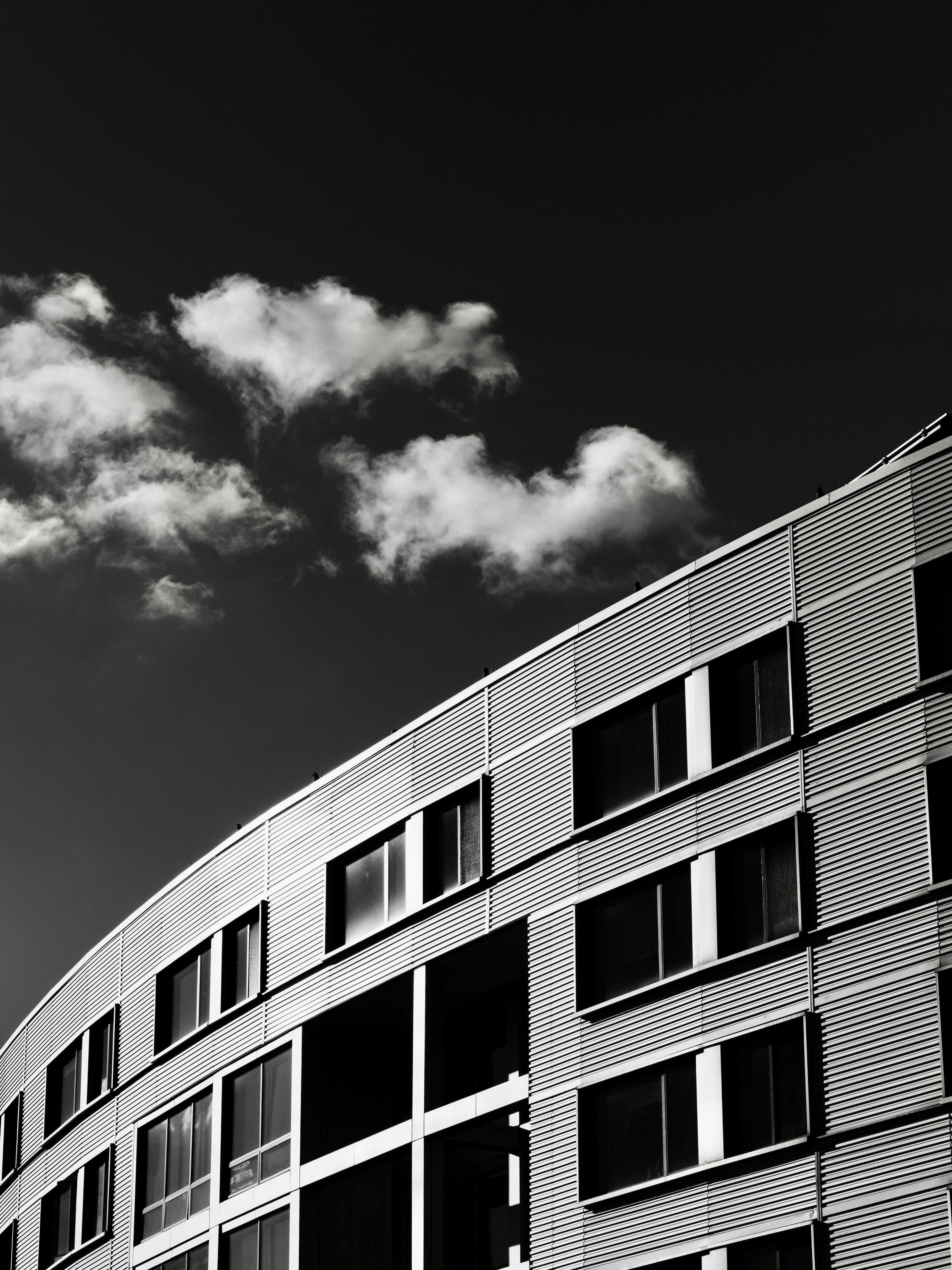 Photo by sschusterphotoart