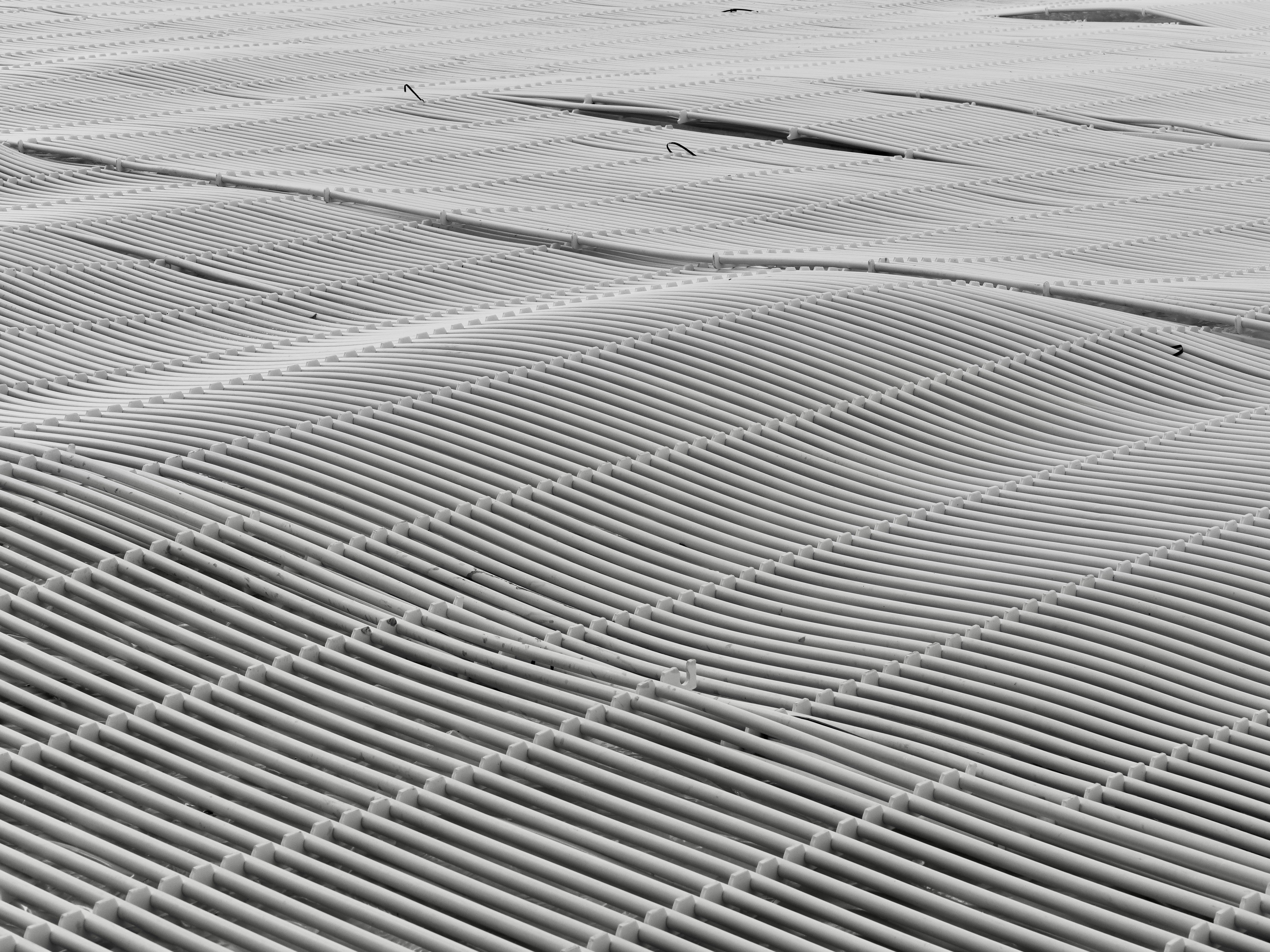 Photo by sschusterphotoart