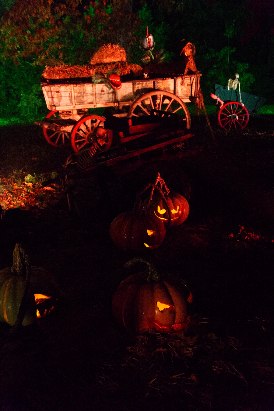 Illustrative Halloween and autumn photo