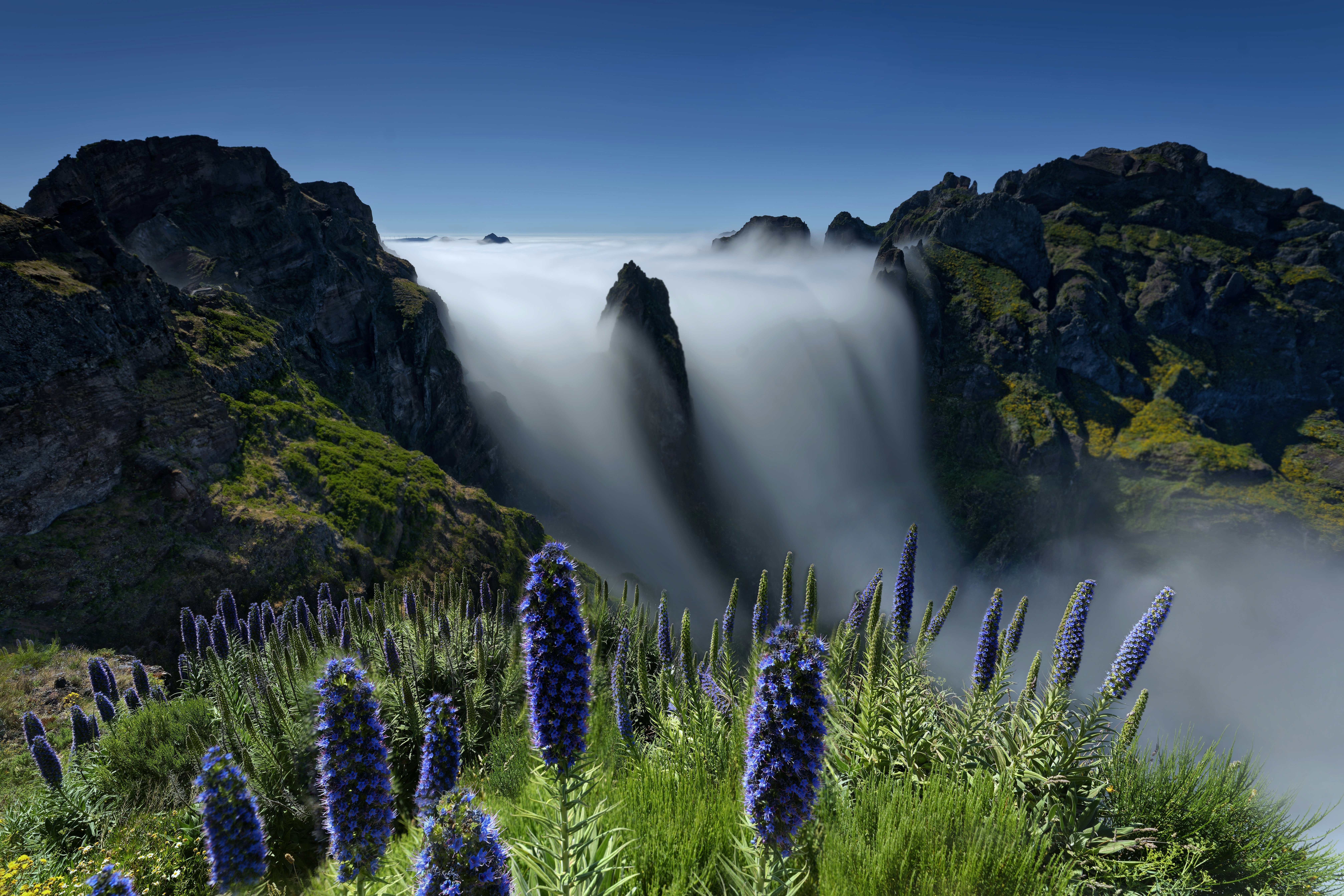 15 Documentaries That Are Best About Frost Free Chest Freezer