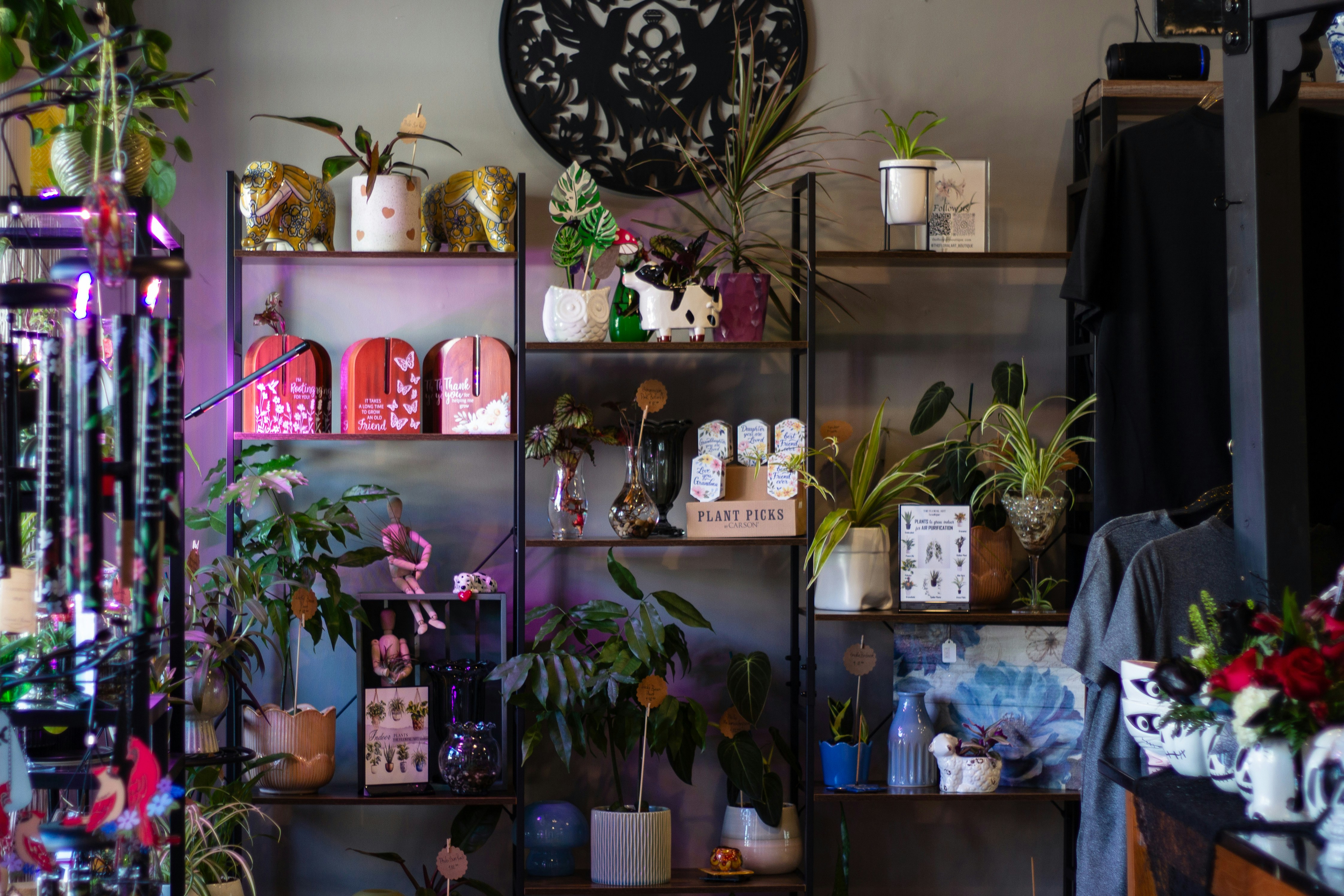 Shelves filled with plants and decorative items.