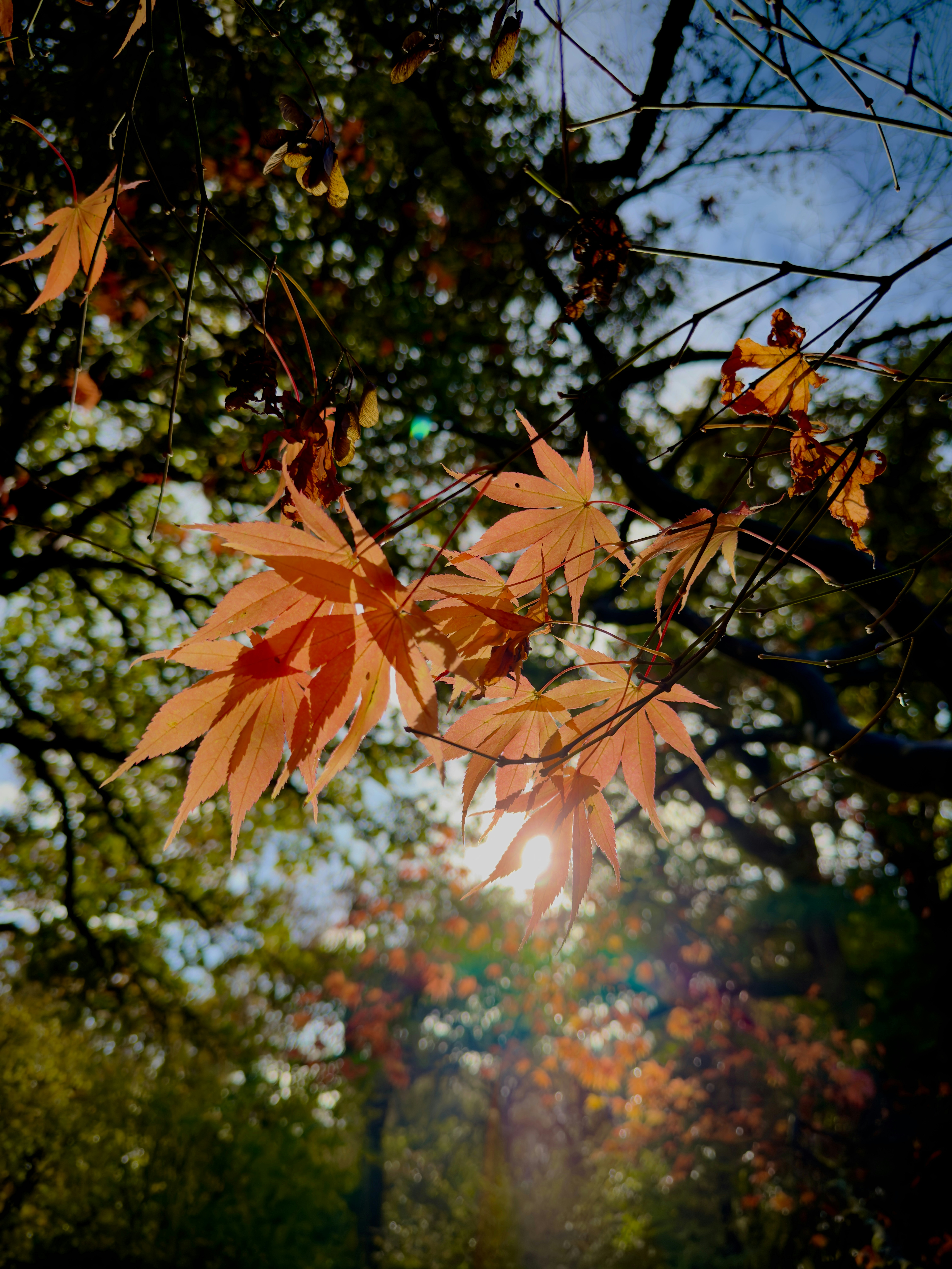 Photo by rdsaunders