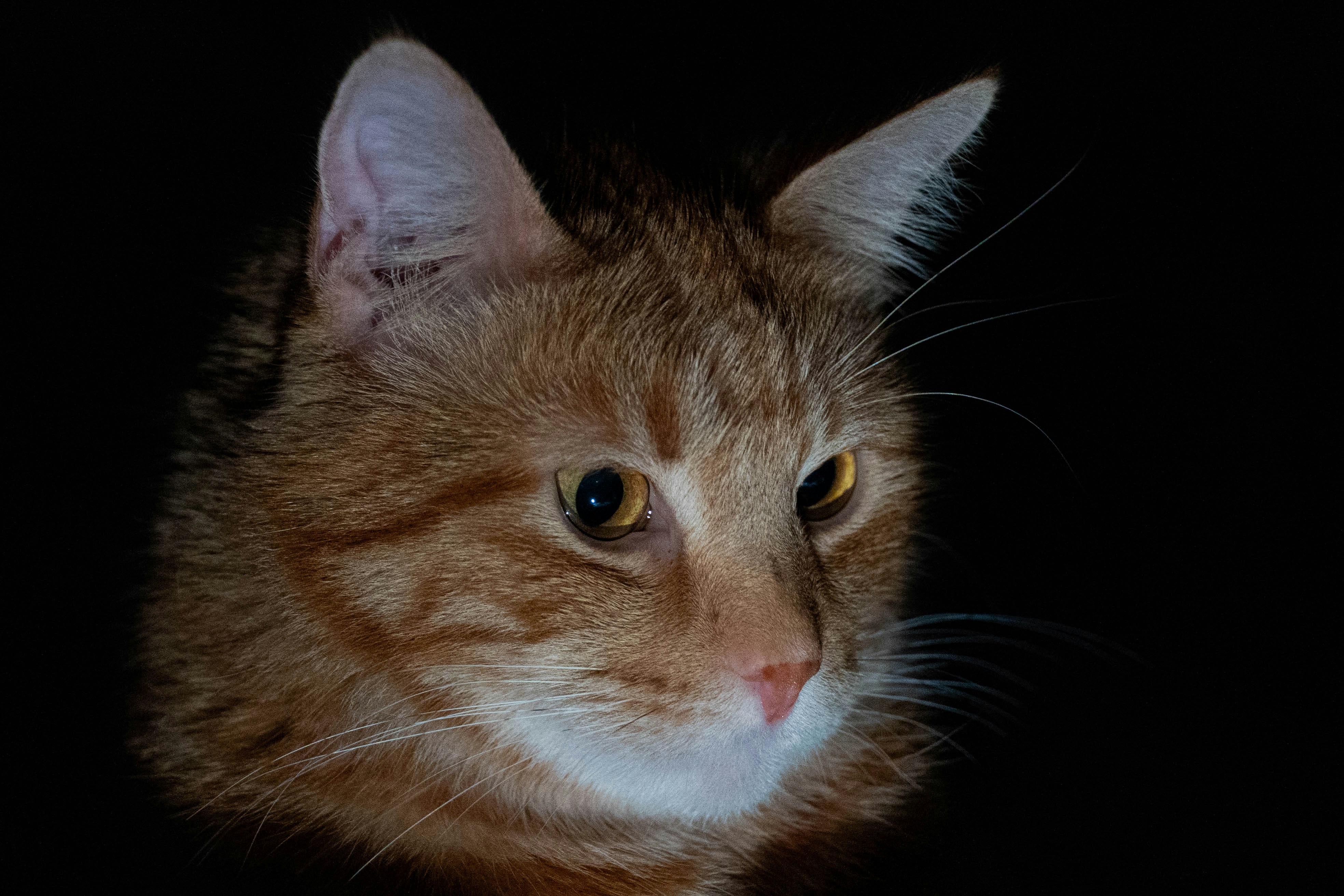 Photo by nico_mikaela17