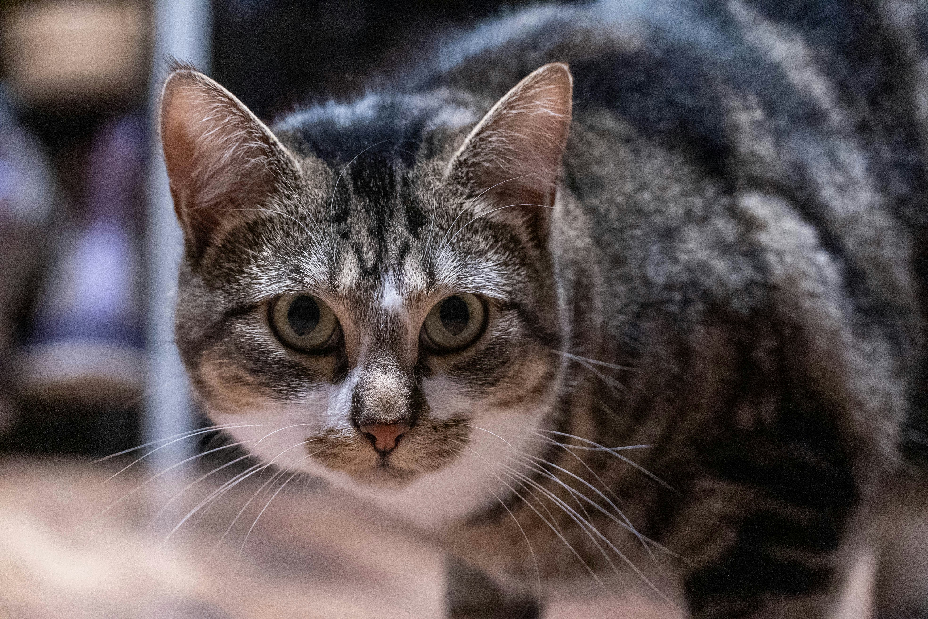 Photo by nico_mikaela17