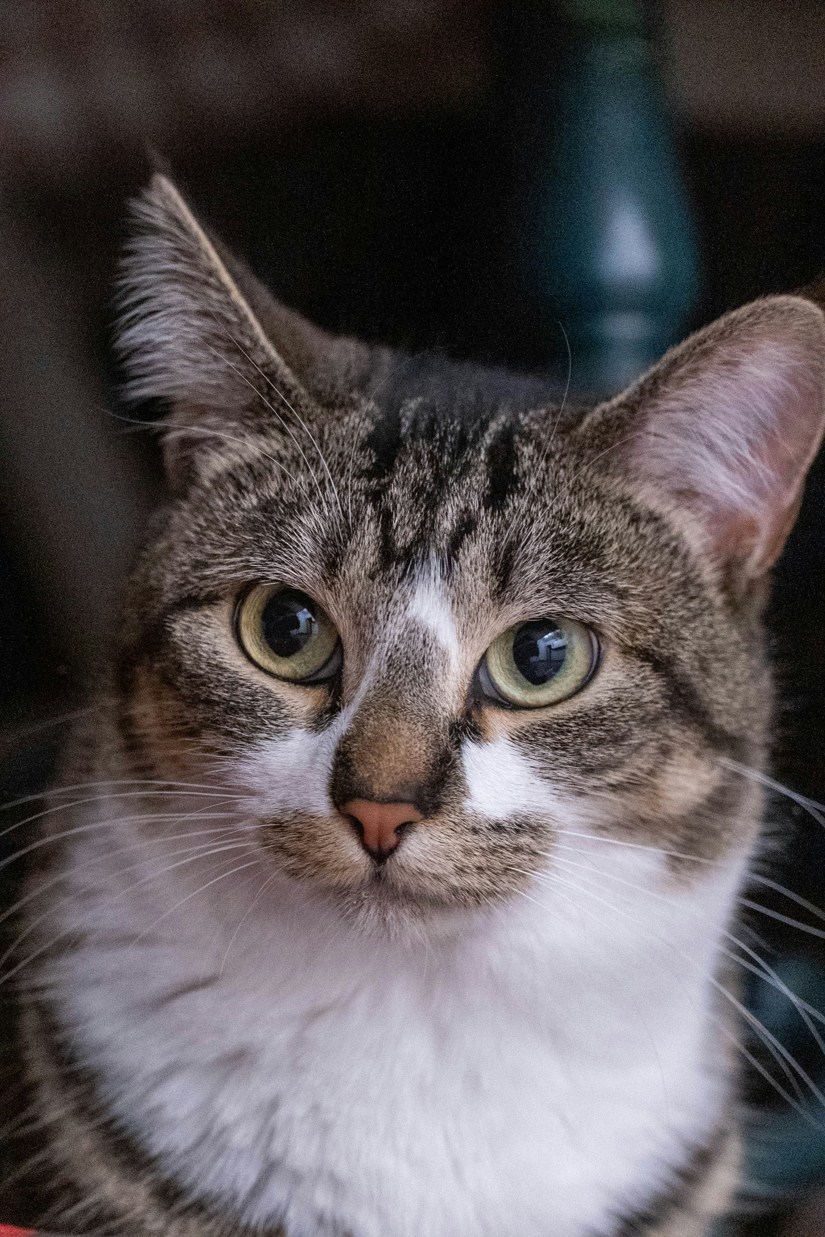 Photo by nico_mikaela17