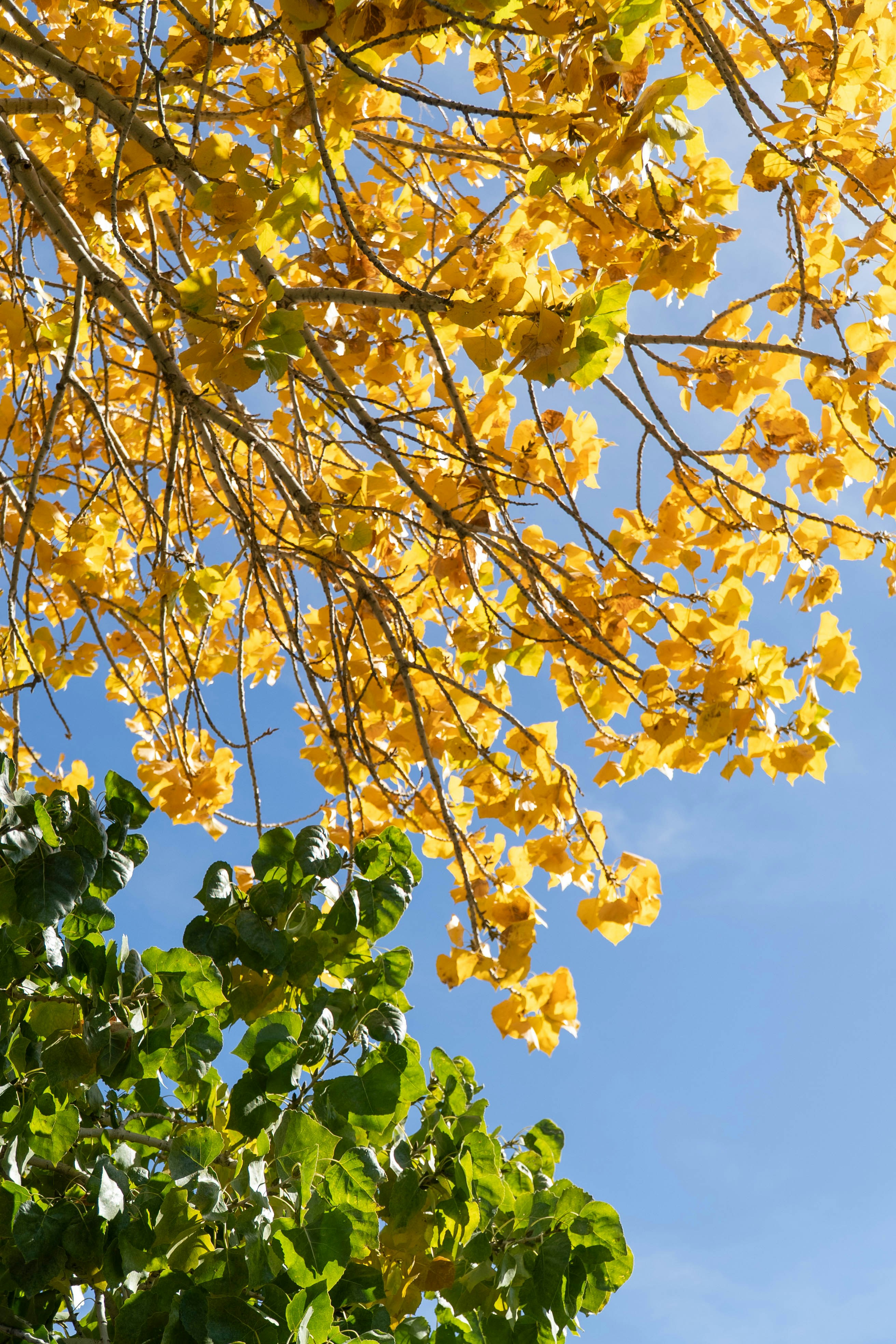 Photo by nico_mikaela17